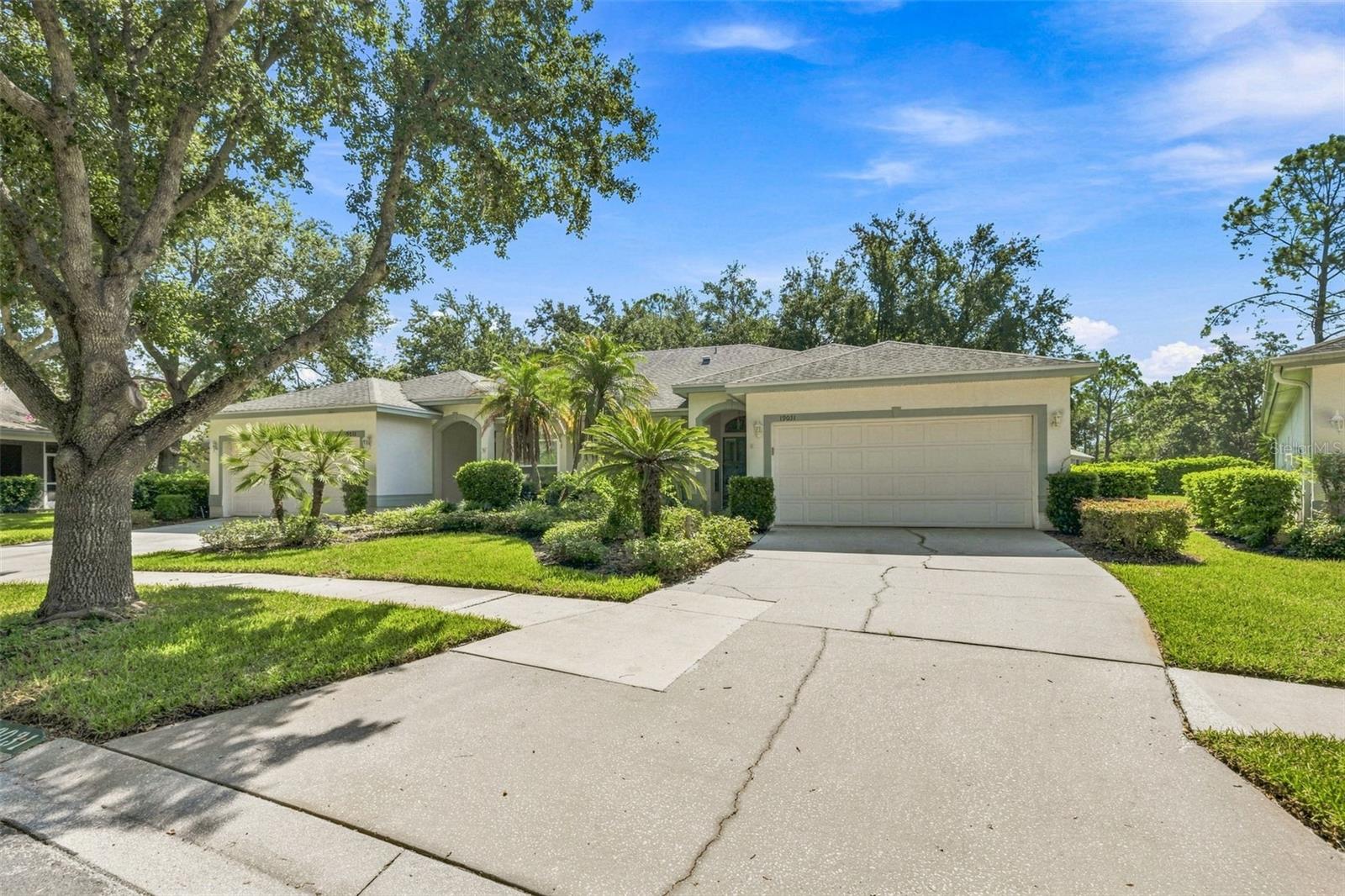 19031 Callaway, Tampa, FL 33647