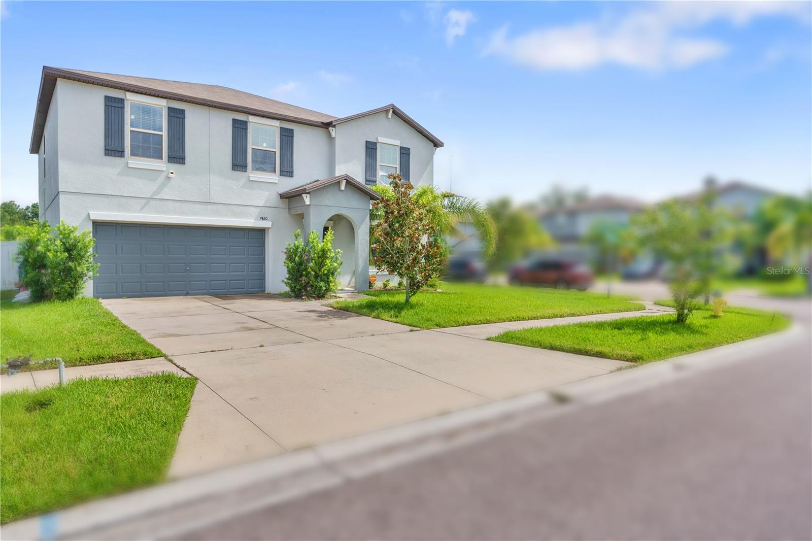7420 Pearly Everlasting, Tampa, FL 33619