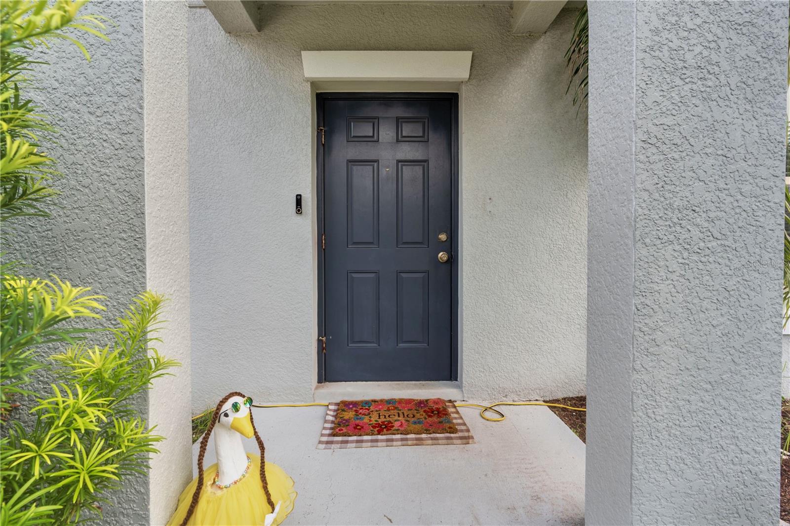 7420 Pearly Everlasting, Tampa, FL 33619