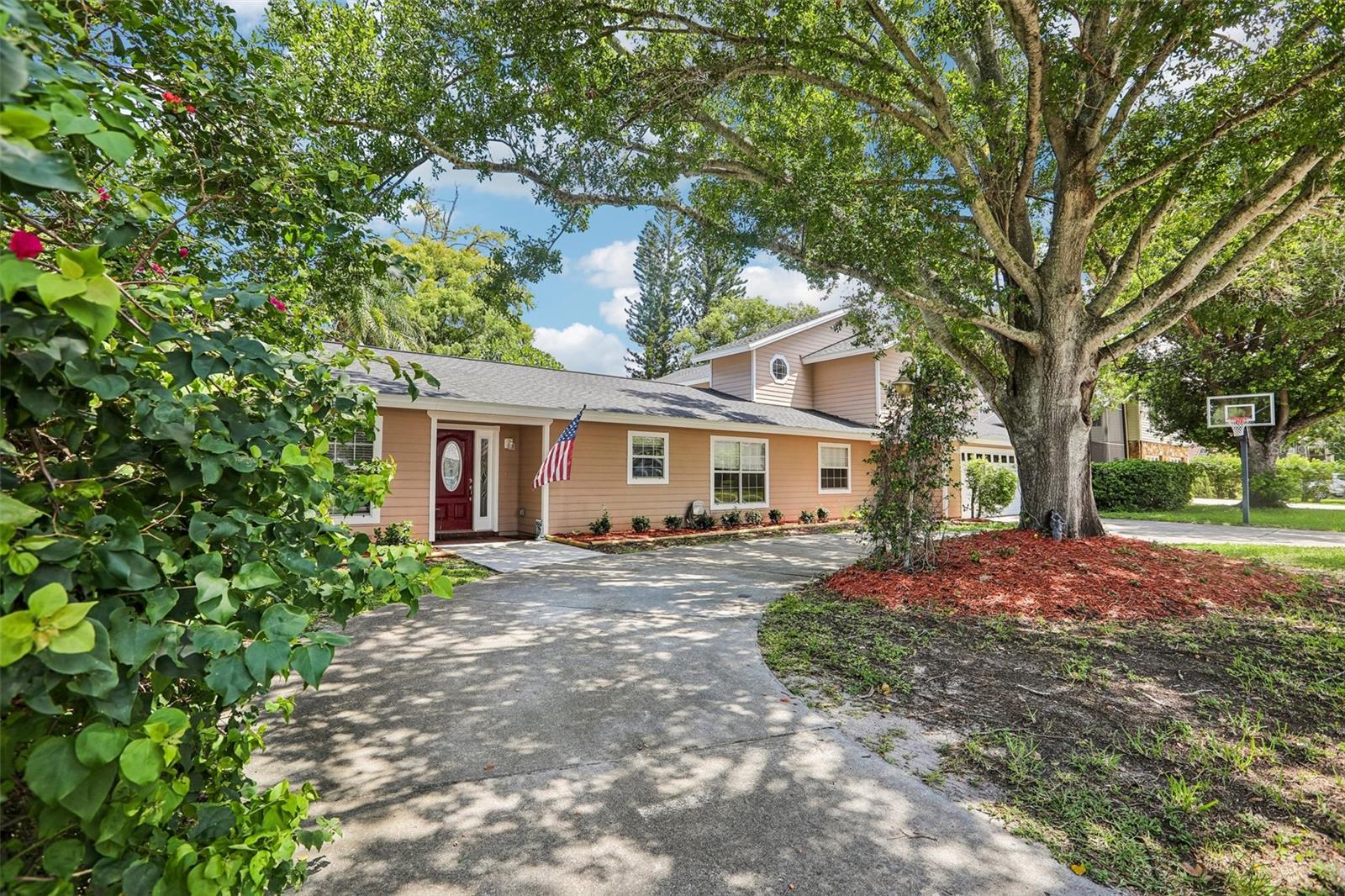 3131 Canal, Palm Harbor, FL 34684