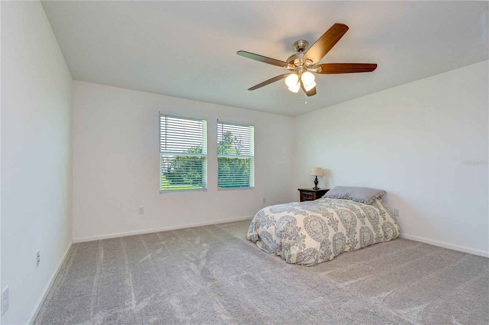 35651 Buttonweed, Zephyrhills, FL 33541