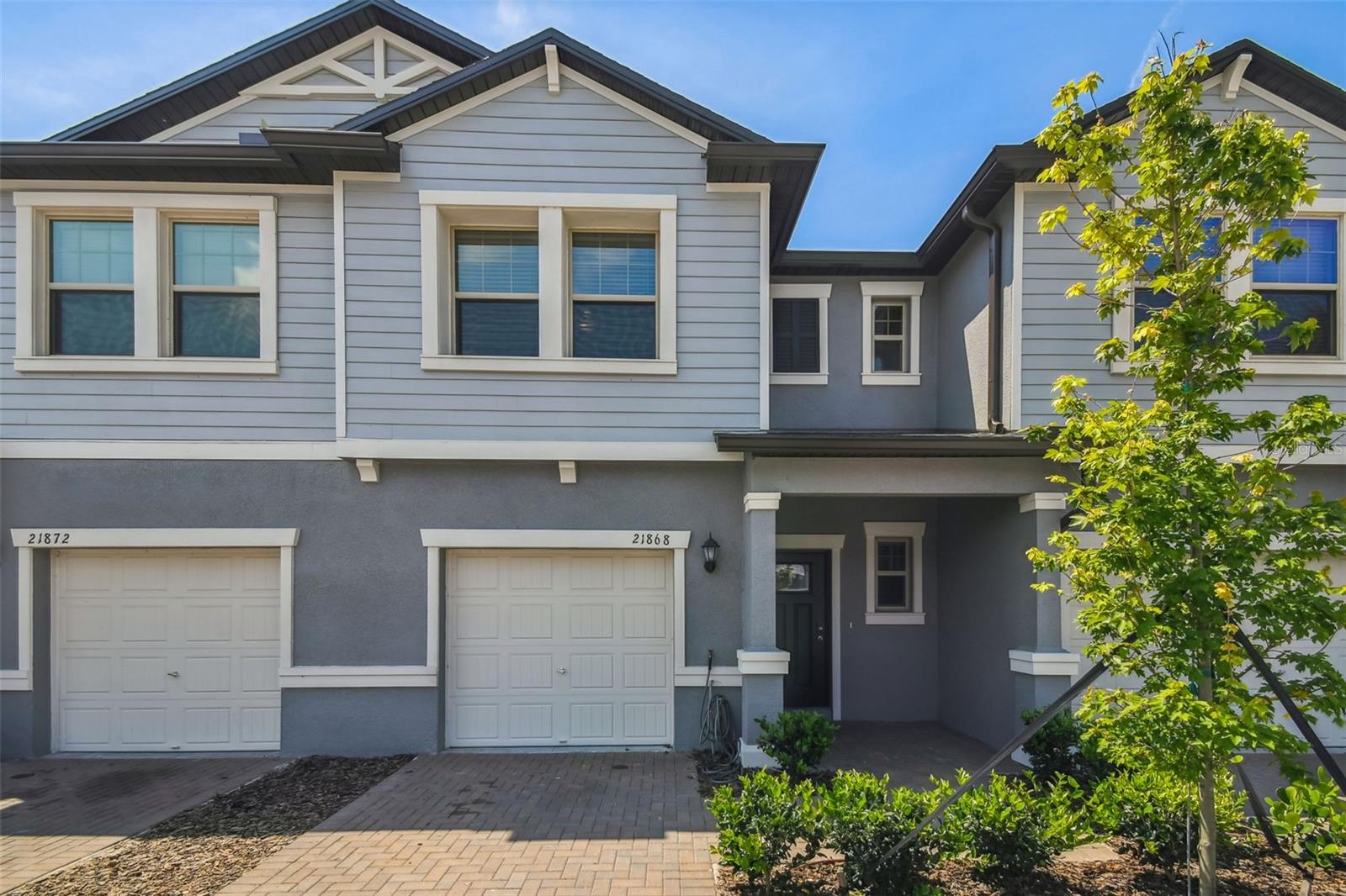 21868 Lyonia, Land O Lakes, FL 34637