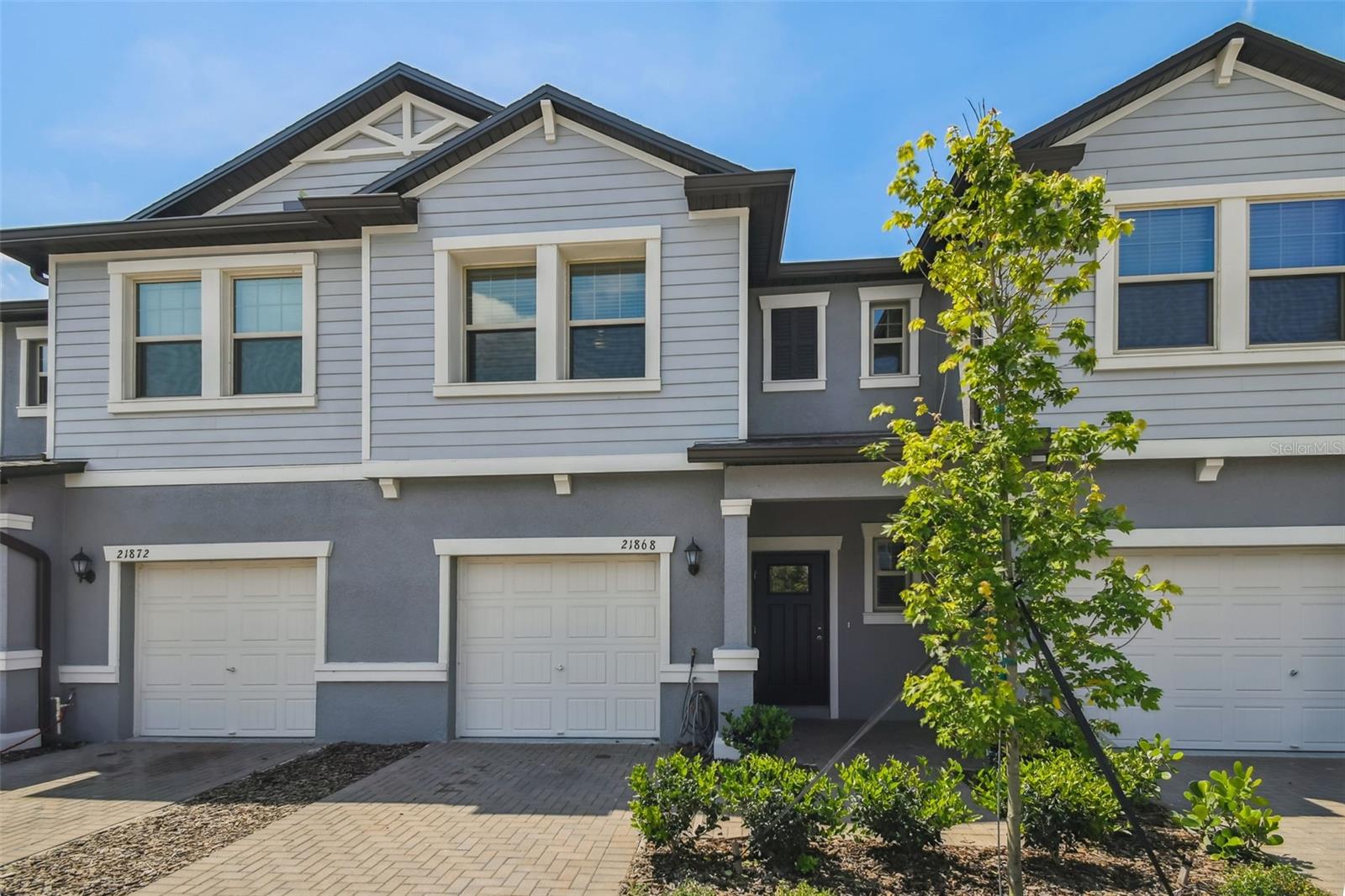 21868 Lyonia, Land O Lakes, FL 34637