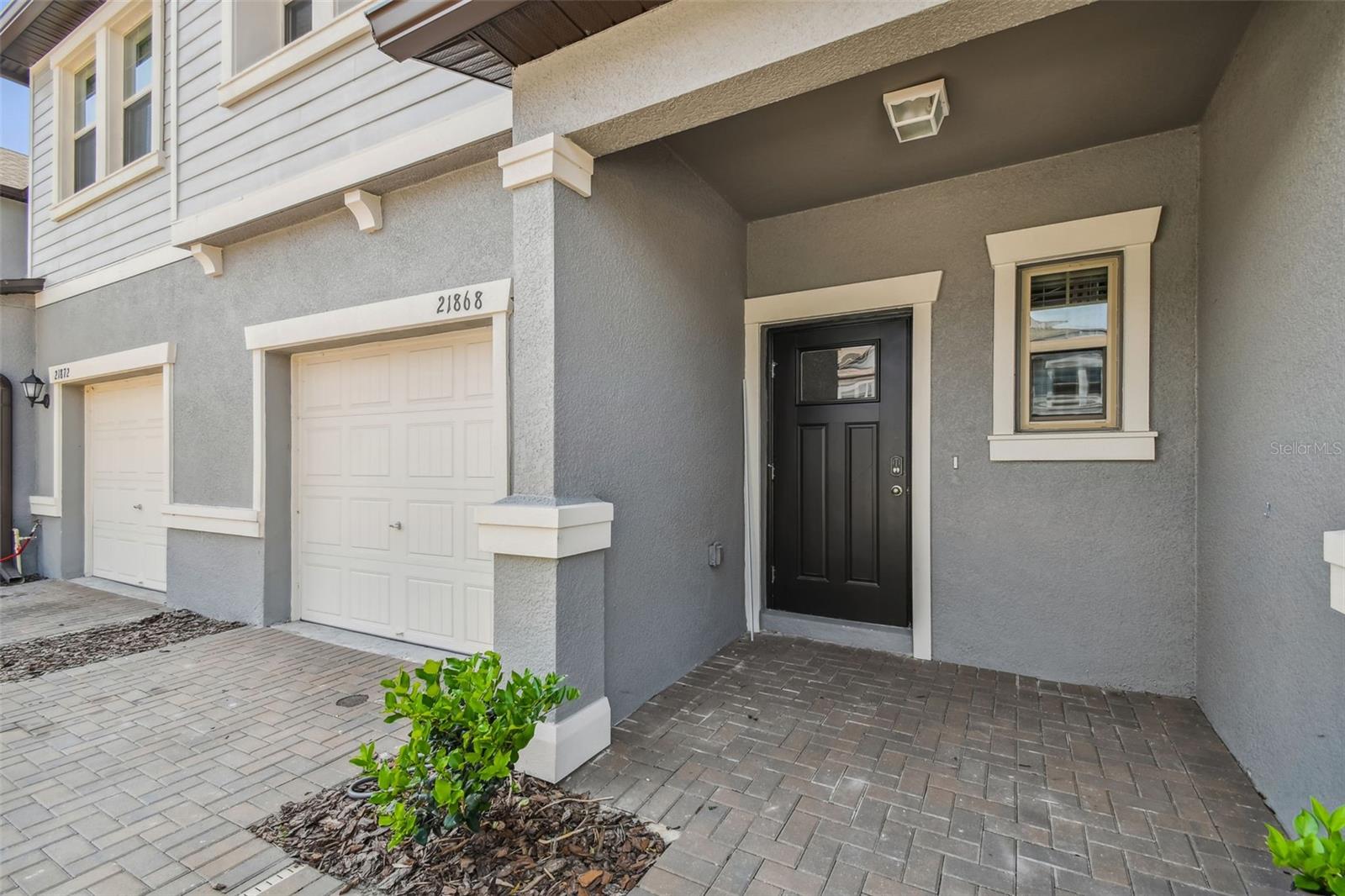 21868 Lyonia, Land O Lakes, FL 34637