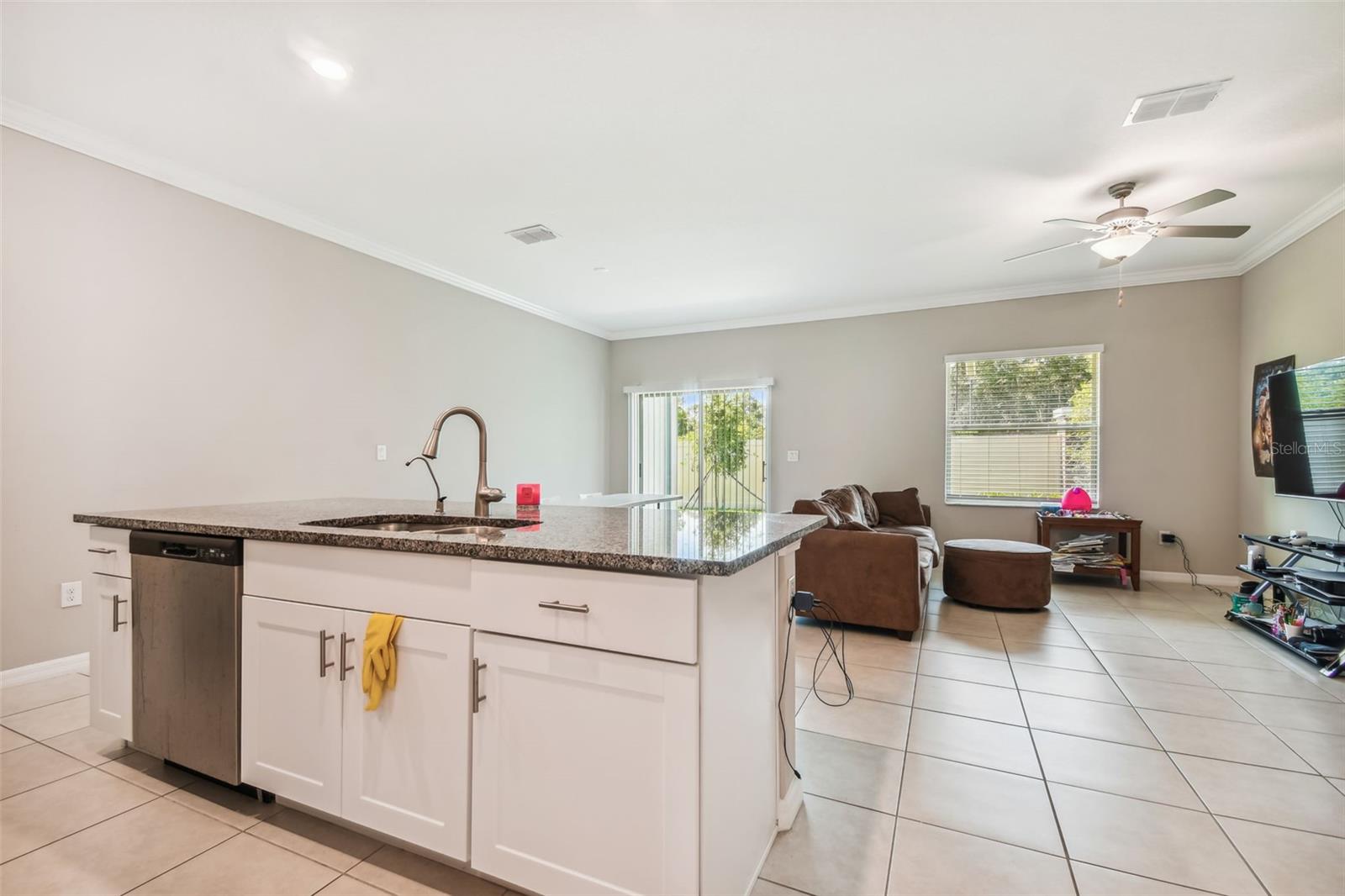 21868 Lyonia, Land O Lakes, FL 34637
