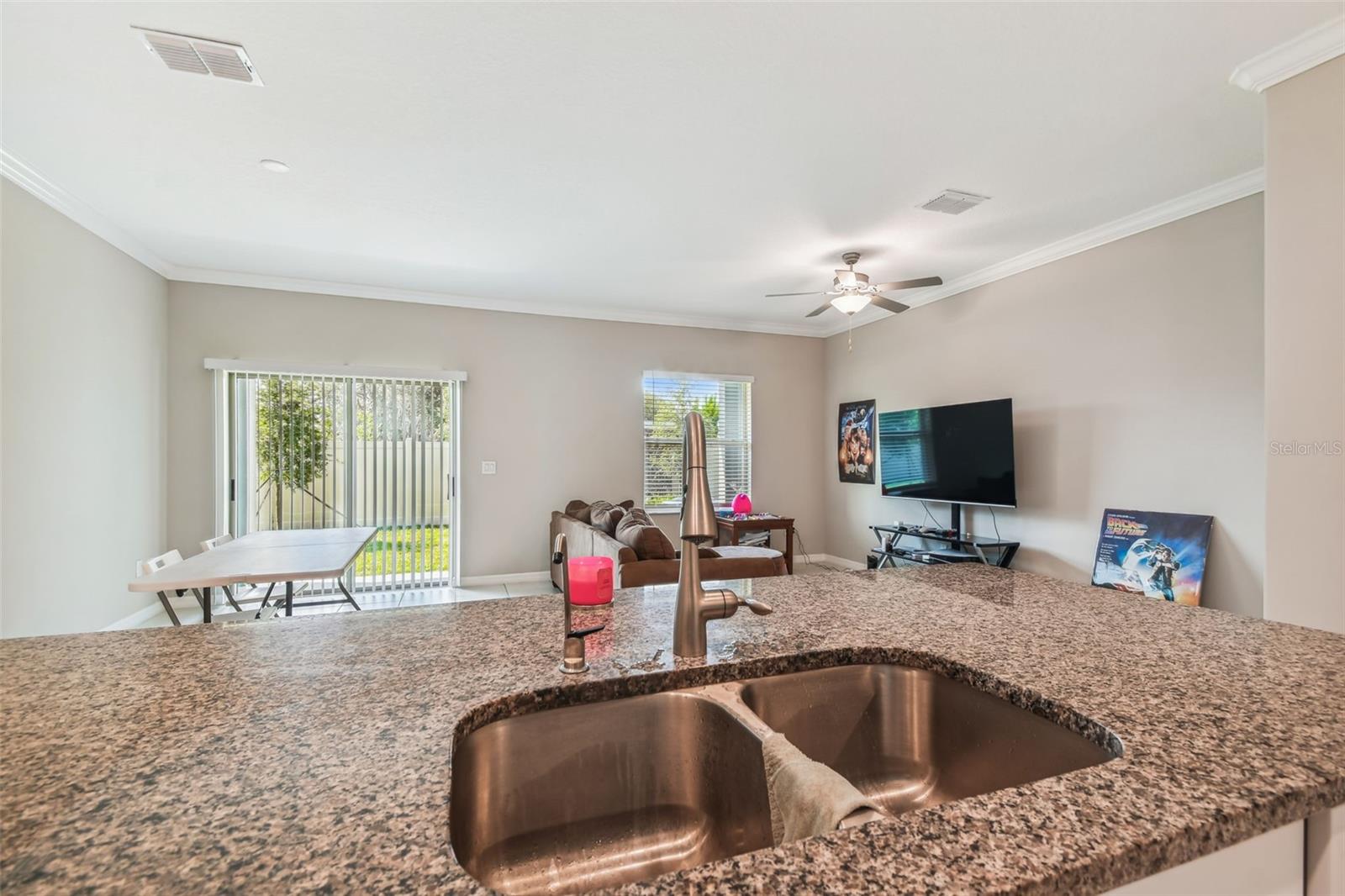 21868 Lyonia, Land O Lakes, FL 34637