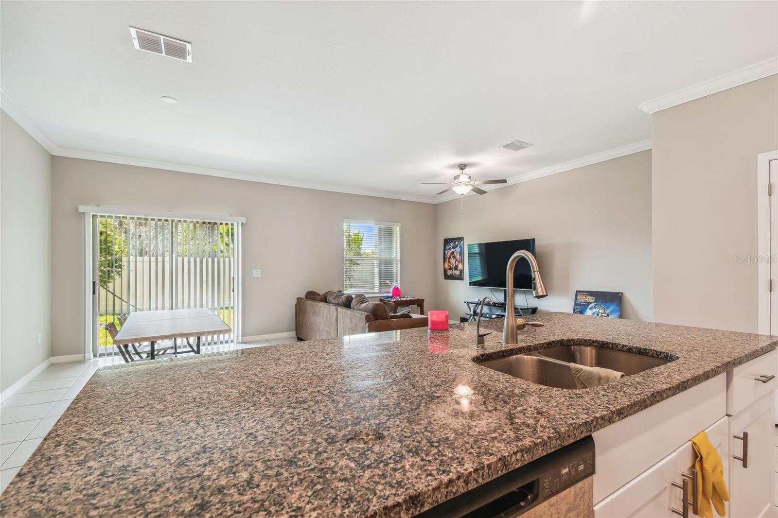 21868 Lyonia, Land O Lakes, FL 34637