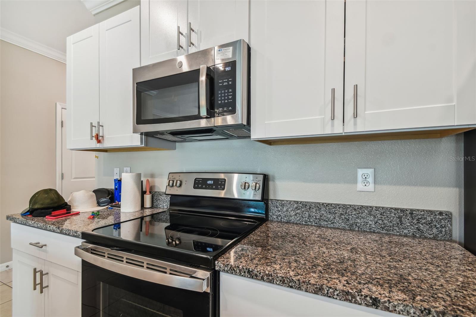 21868 Lyonia, Land O Lakes, FL 34637