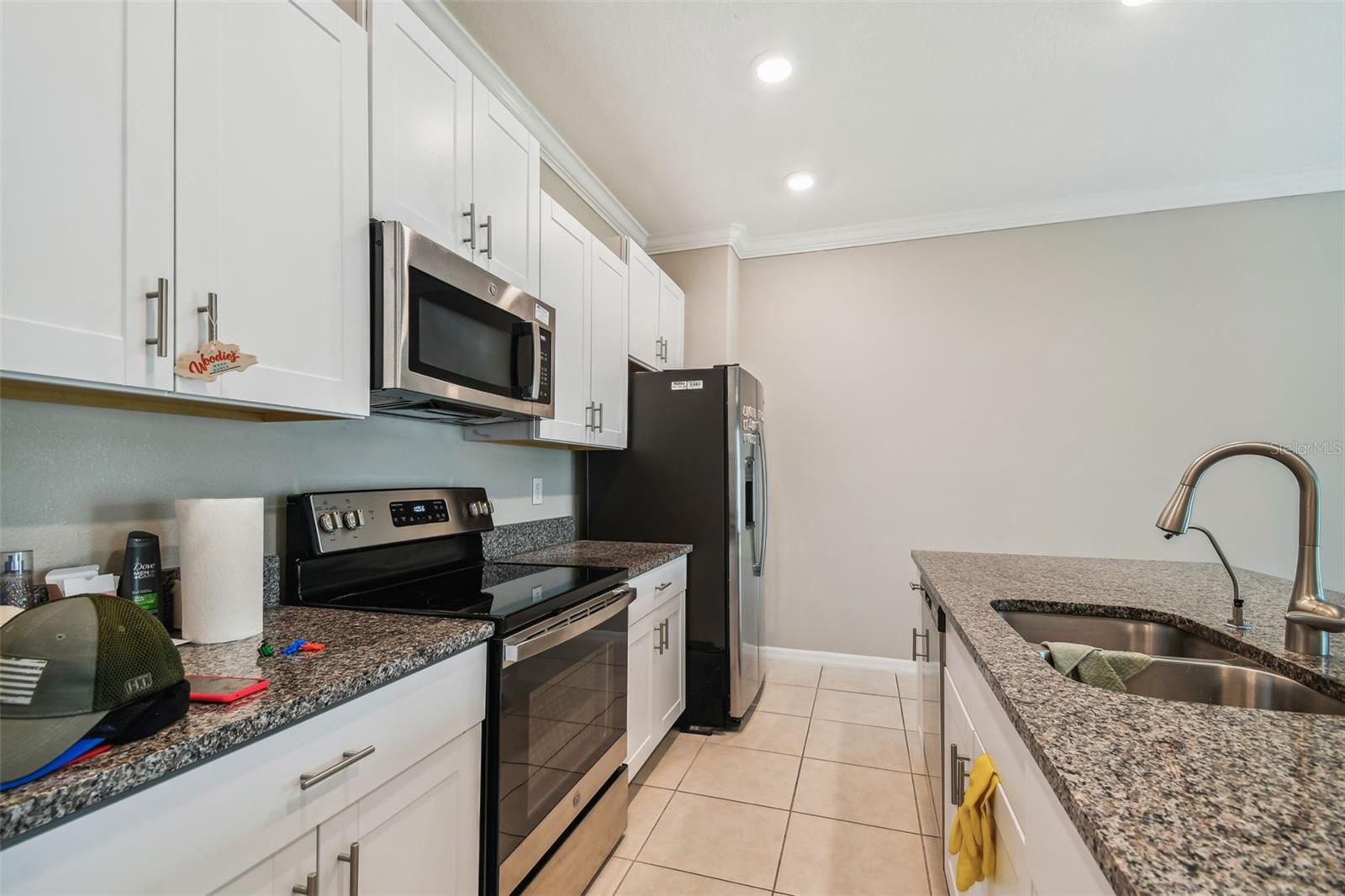 21868 Lyonia, Land O Lakes, FL 34637