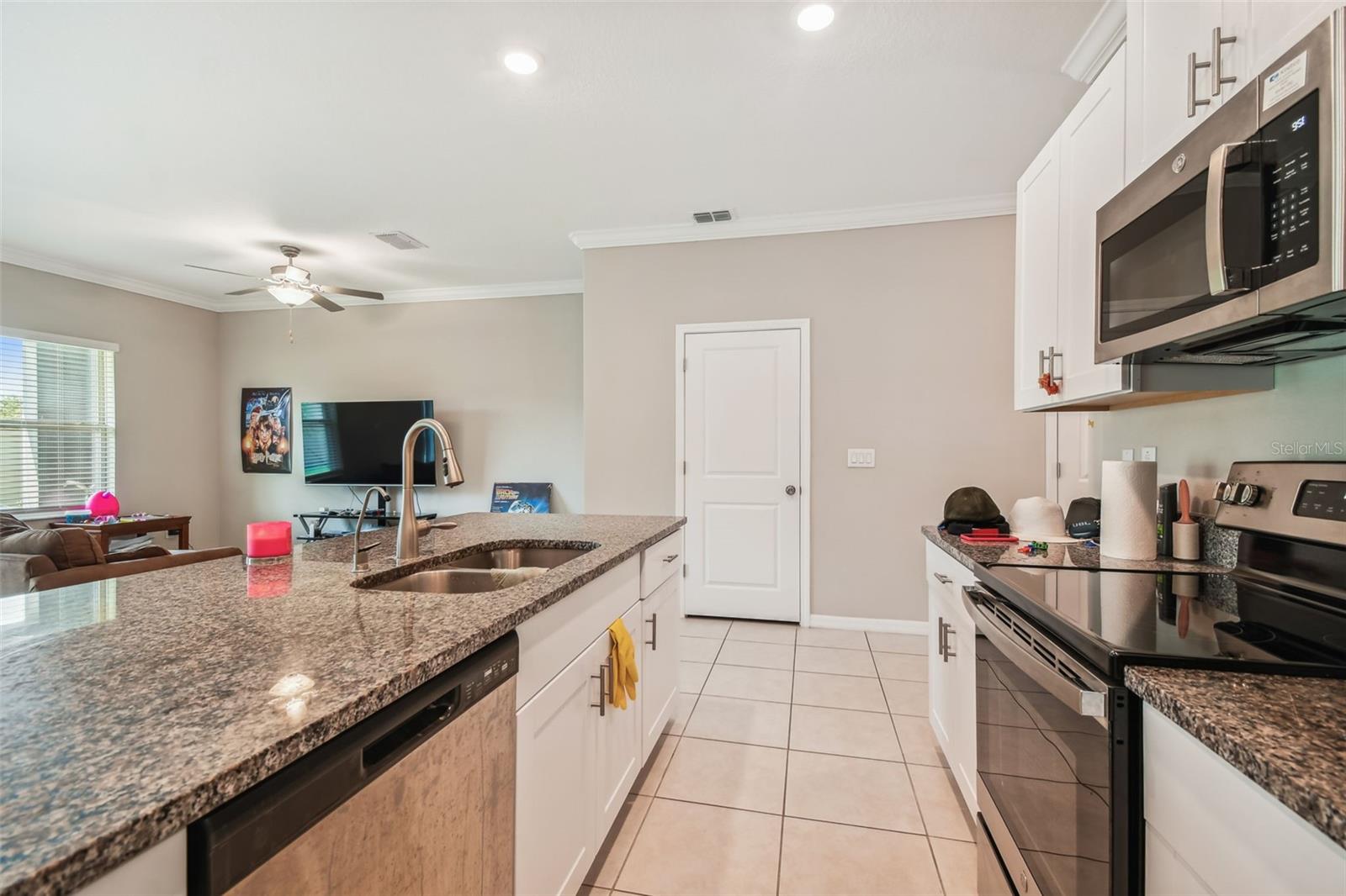21868 Lyonia, Land O Lakes, FL 34637