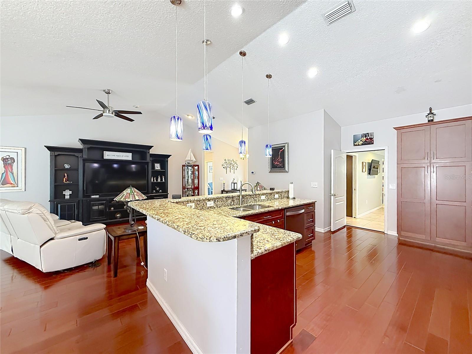 1050 Fahnstock, Eustis, FL 32726