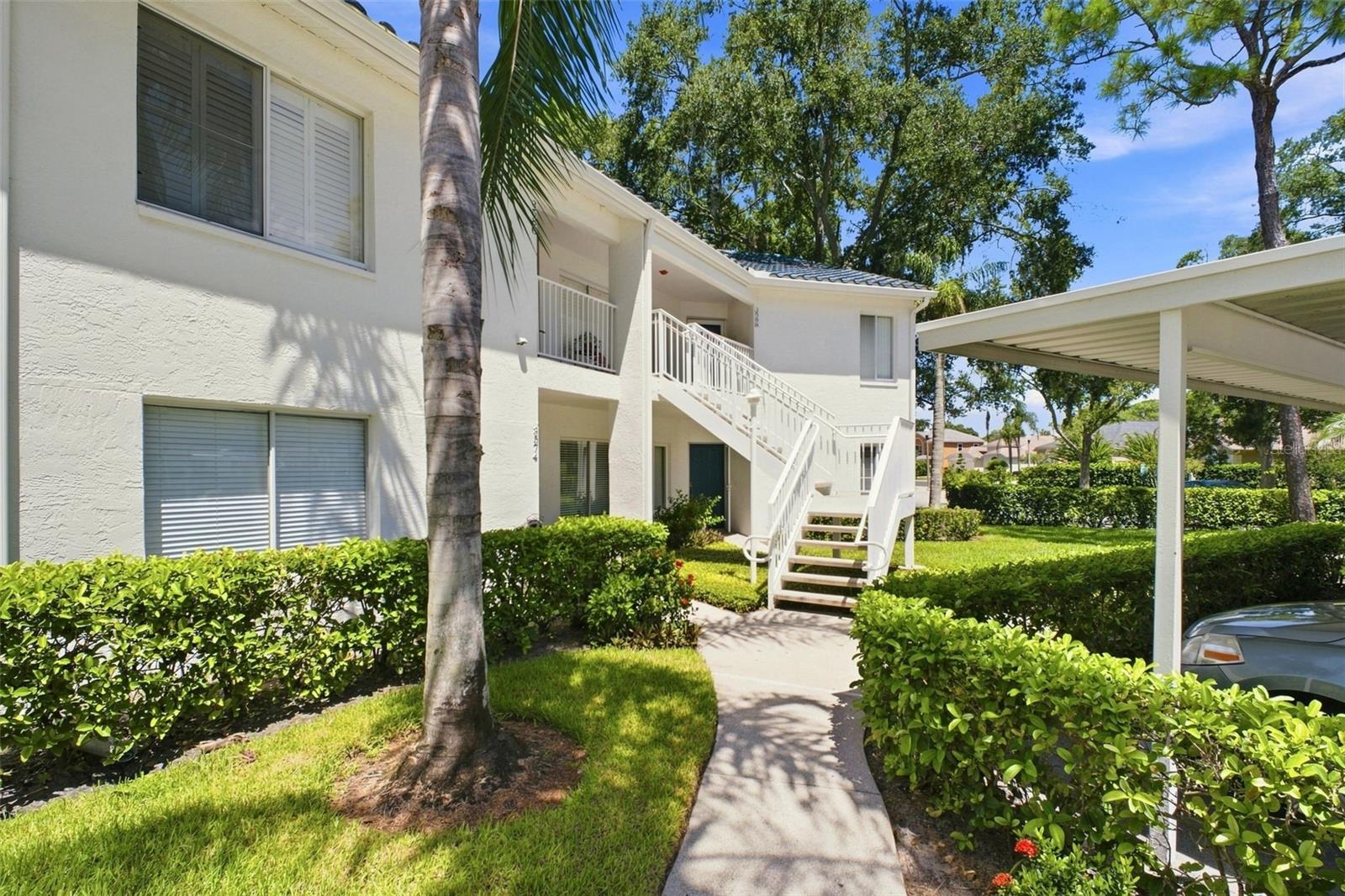 3588 Indigo Pond Unit 12, Palm Harbor, FL 34685