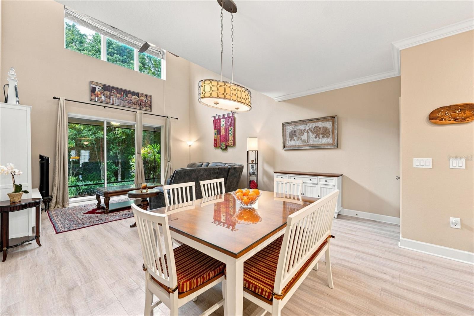 8738 Terracina Lake, Tampa, FL 33625