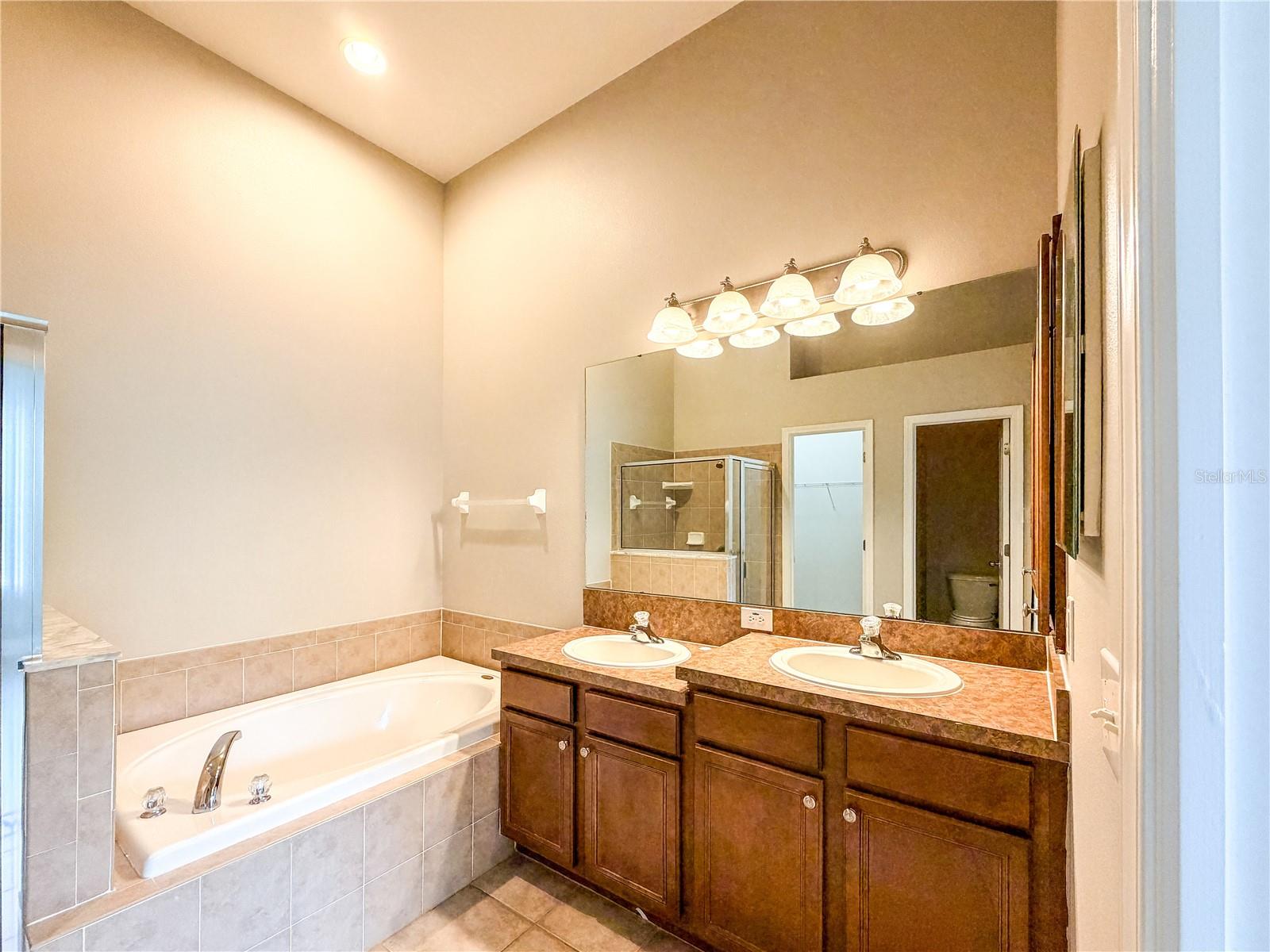 19408 Everton, Land O Lakes, FL 34638