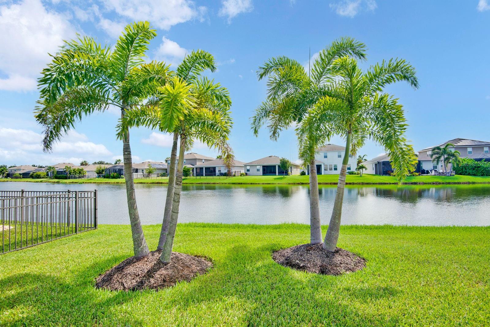6435 Devesta, Palmetto, FL 34221