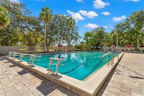 219 Palmetto Unit 219, Oldsmar, FL 34677