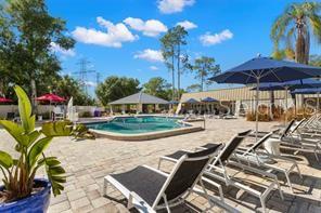 219 Palmetto Unit 219, Oldsmar, FL 34677