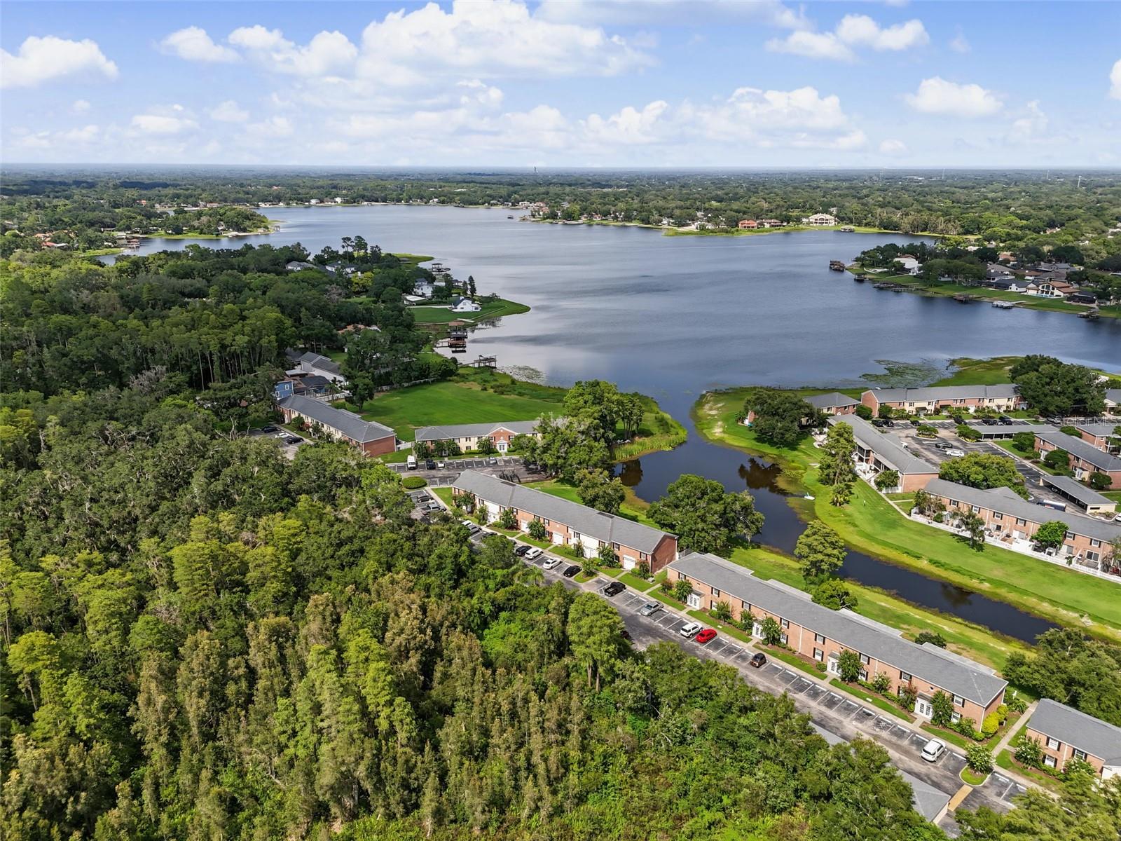 13747 Juniper Blossom, Tampa, FL 33618