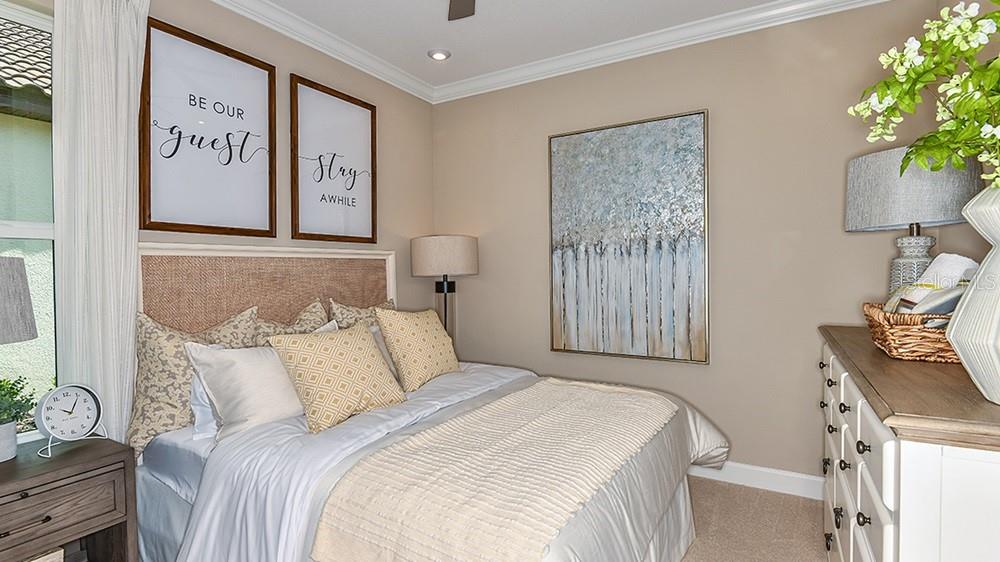 30189 Imperati, Wesley Chapel, FL 33543