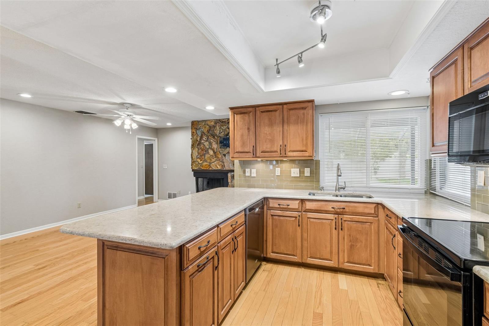 11798 David, Seminole, FL 33778