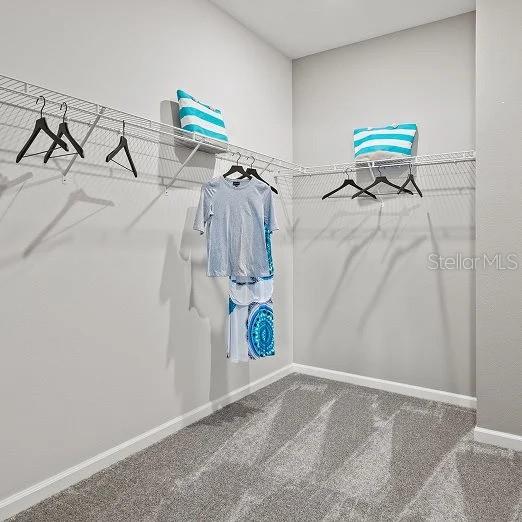 1801 Rider Rain, Apopka, FL 32703