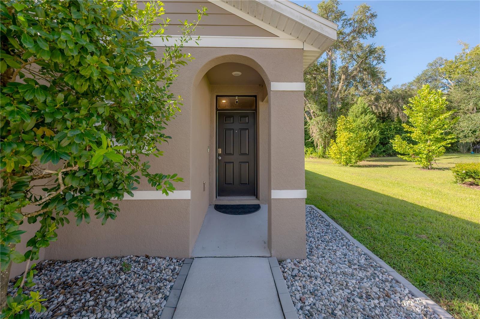9031 Water Chestnut, Temple Terrace, FL 33637