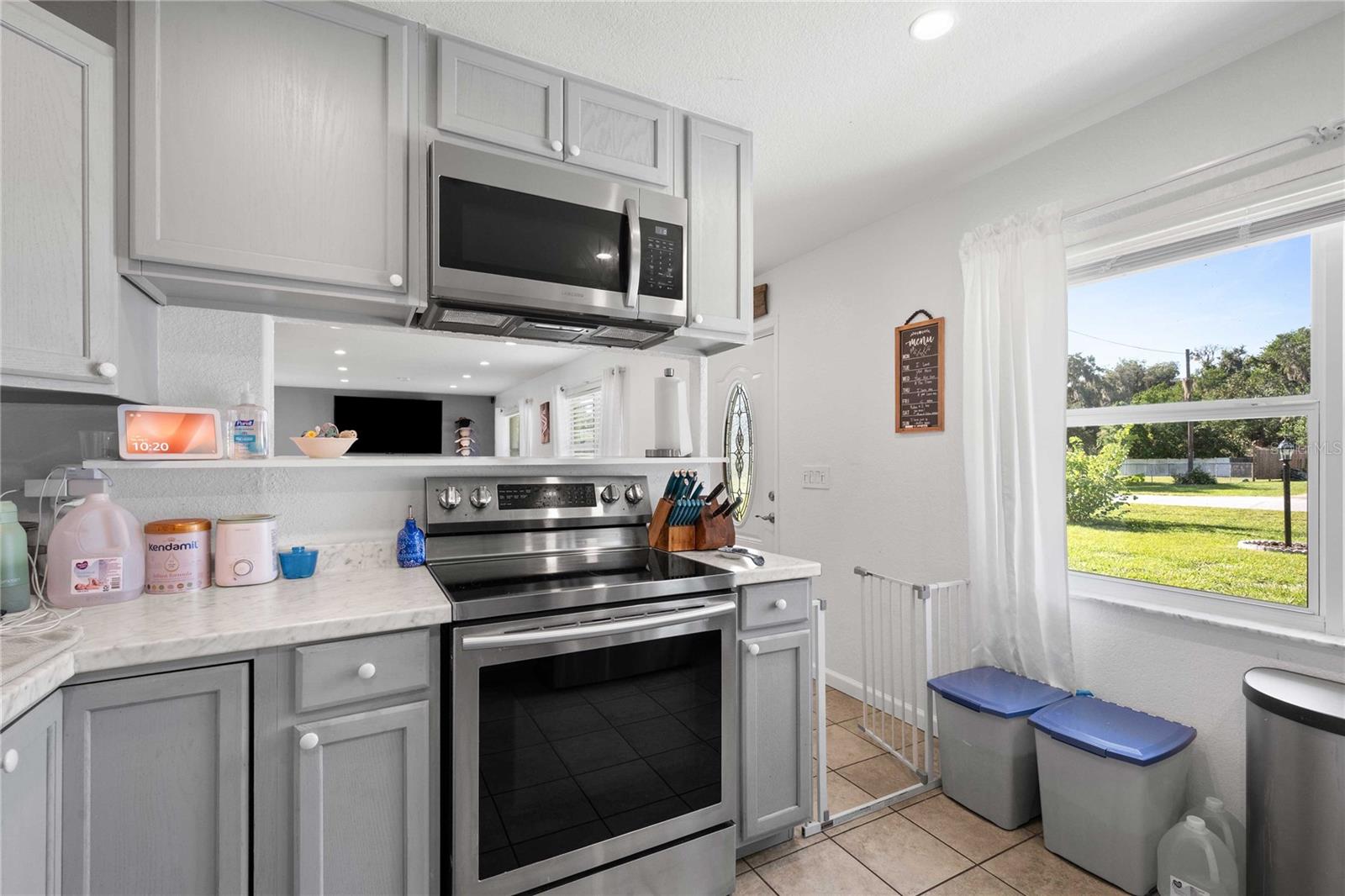 1056 Cr 463, Lake Panasoffkee, FL 33538