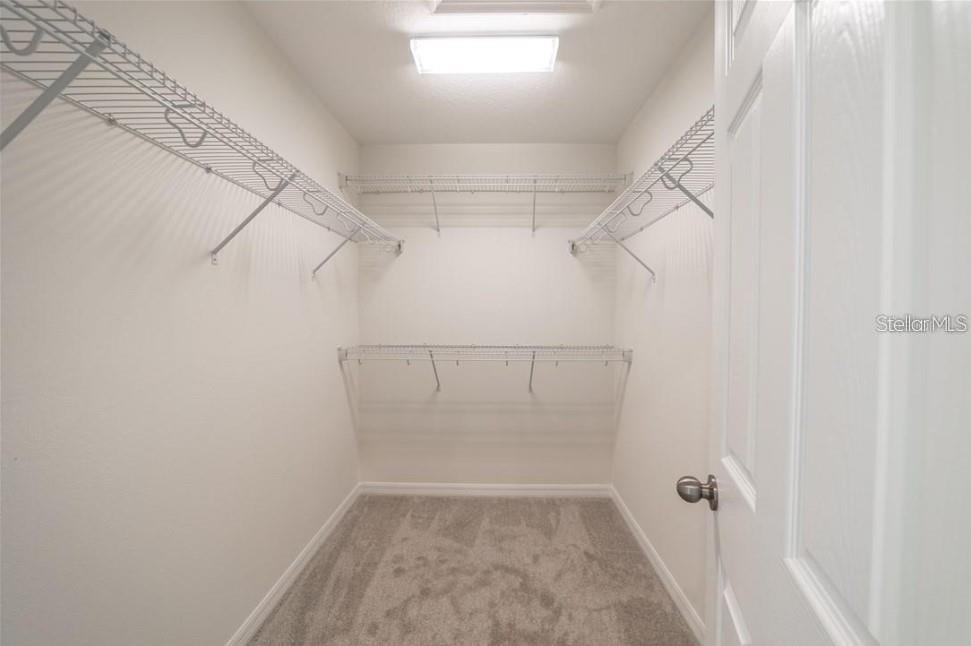 8860 Herencia, Windermere, FL 34786