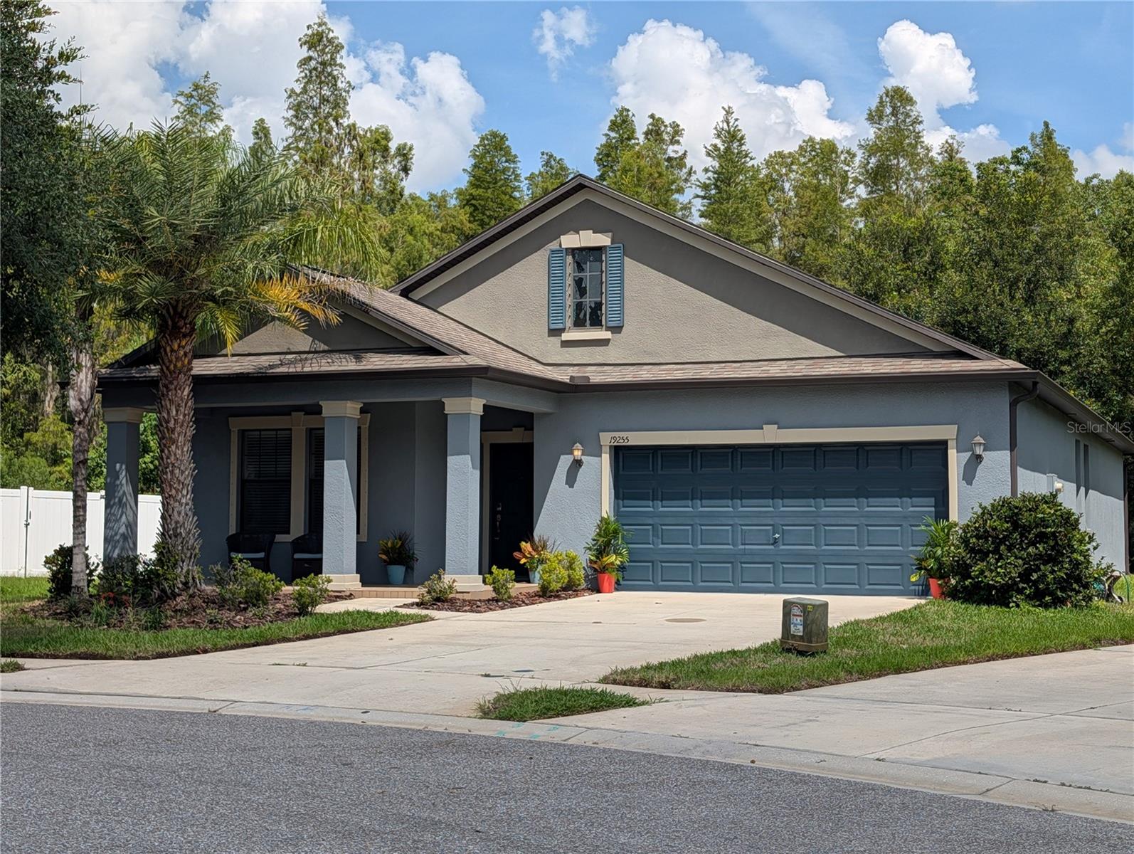 19255 Alexandrea Lee, Land O Lakes, FL 34638