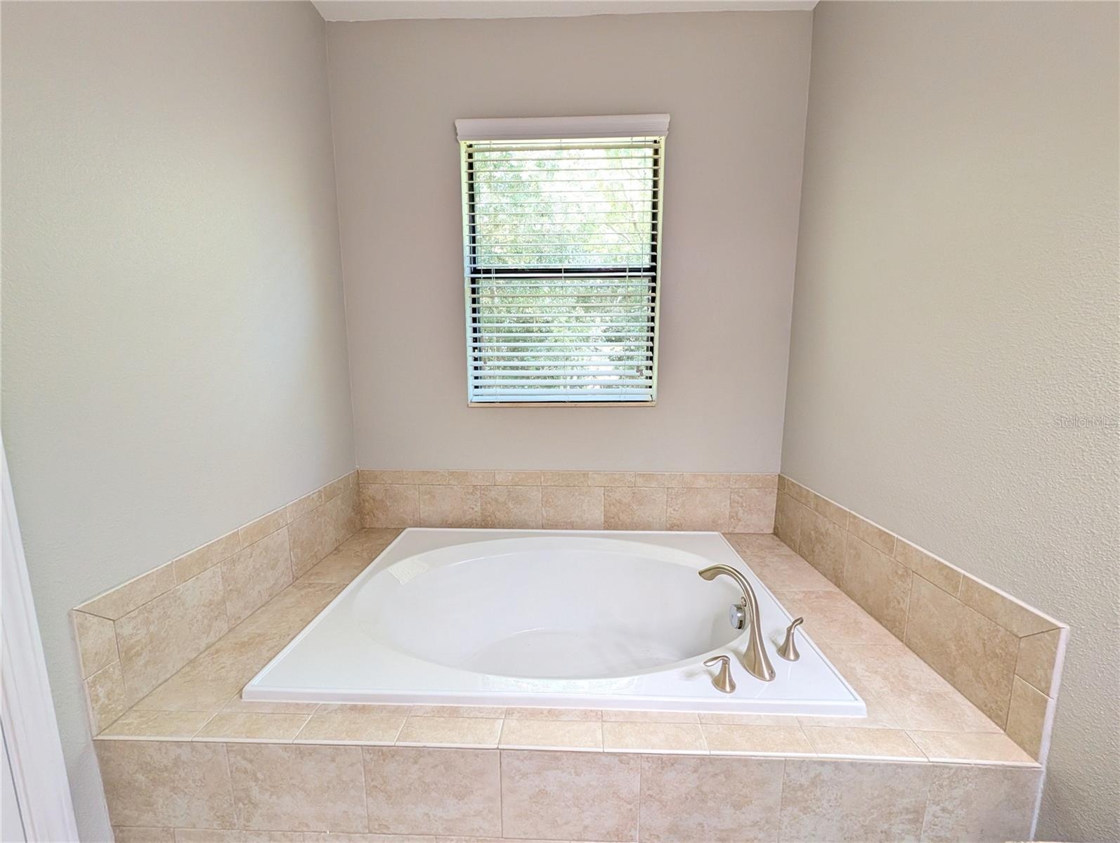 19255 Alexandrea Lee, Land O Lakes, FL 34638