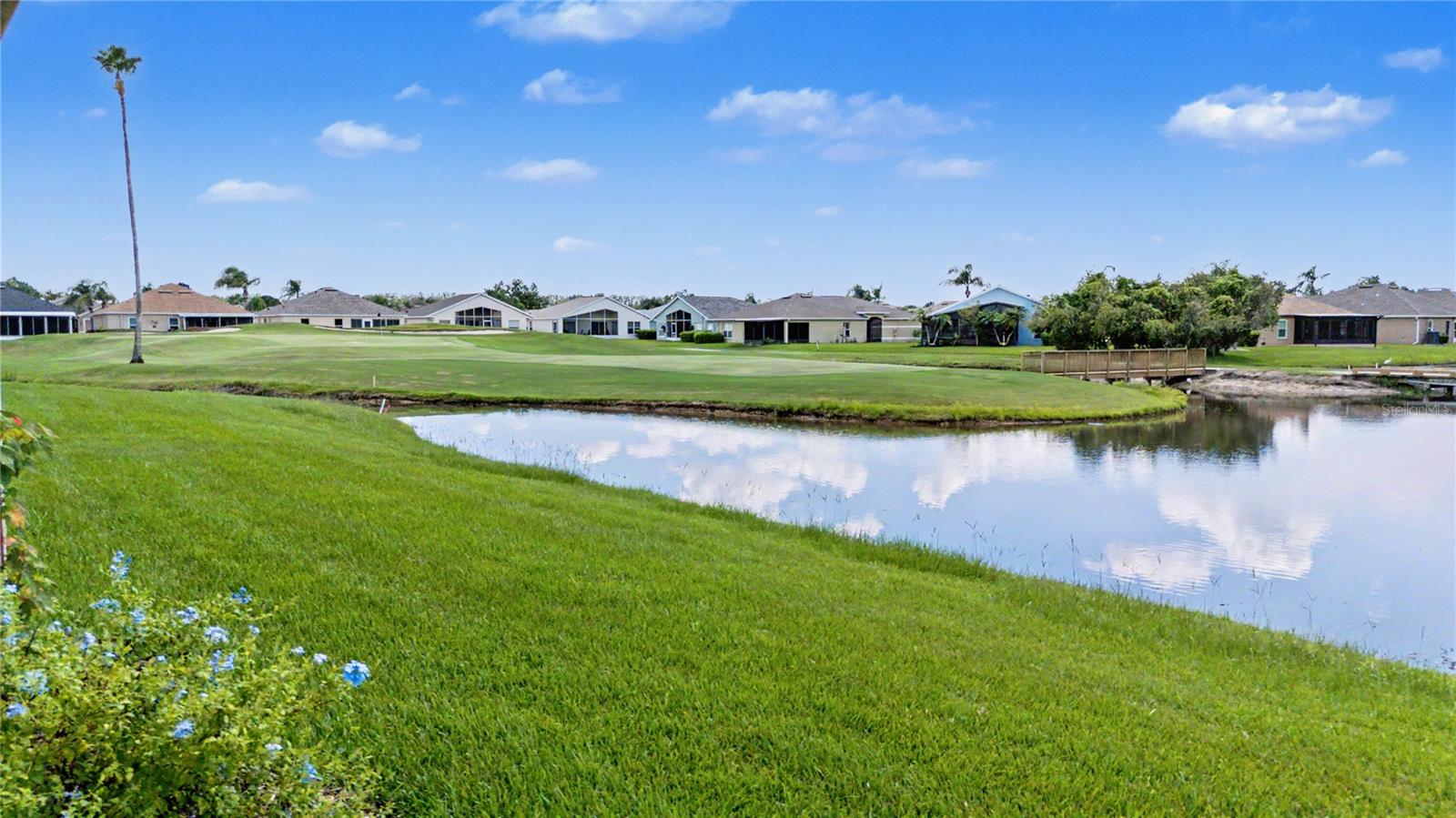 10231 Cleghorn, San Antonio, FL 33576
