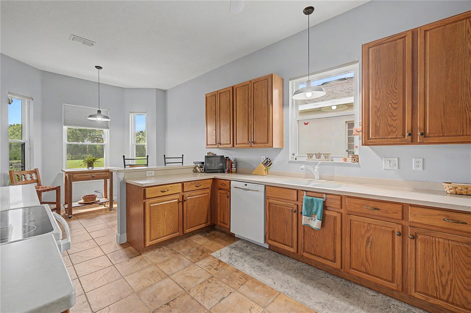 10231 Cleghorn, San Antonio, FL 33576