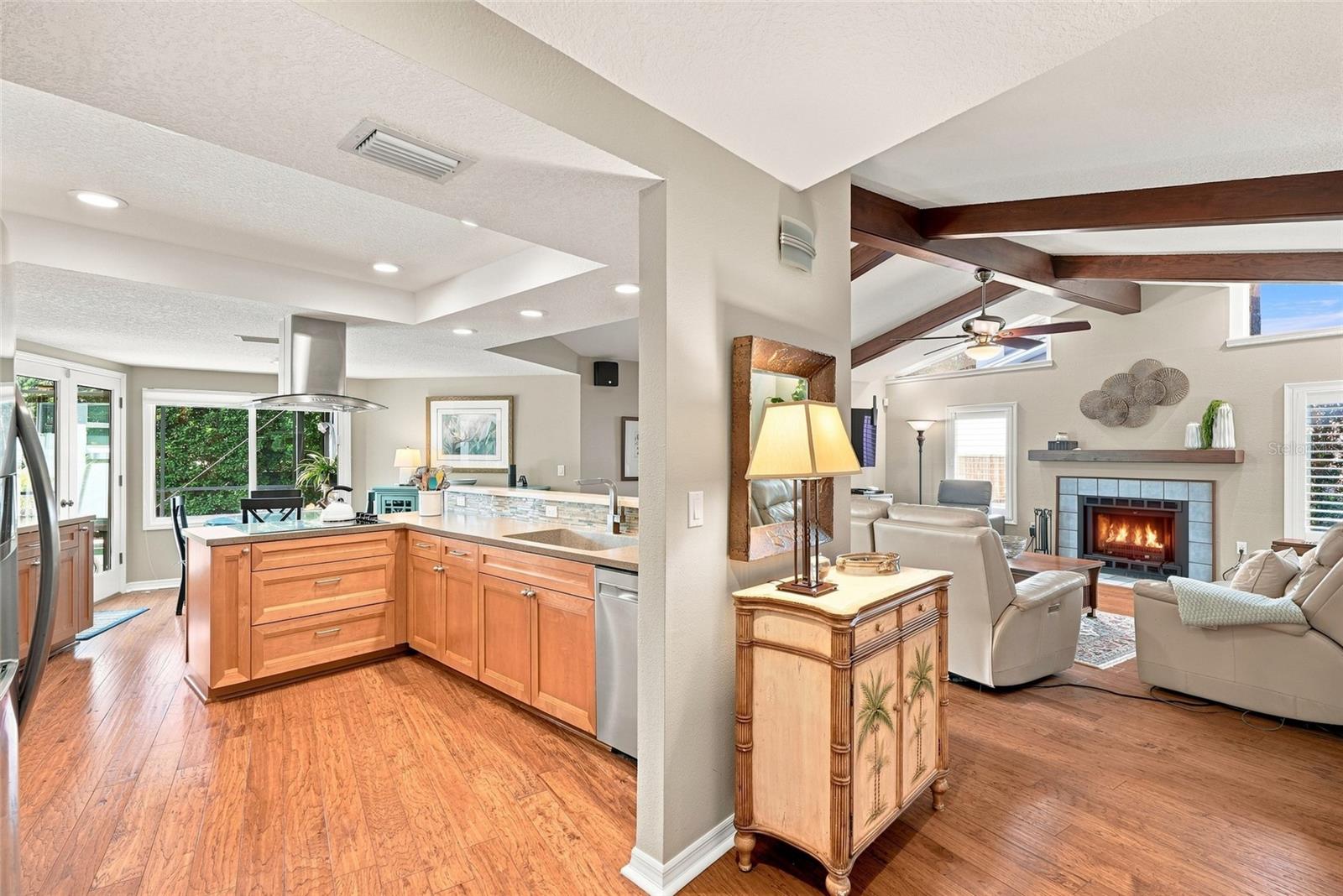 1378 Eniswood, Palm Harbor, FL 34683