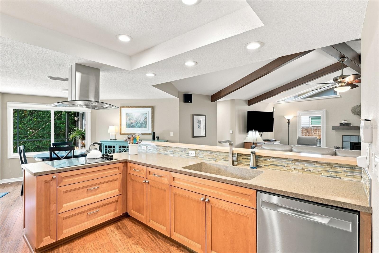 1378 Eniswood, Palm Harbor, FL 34683