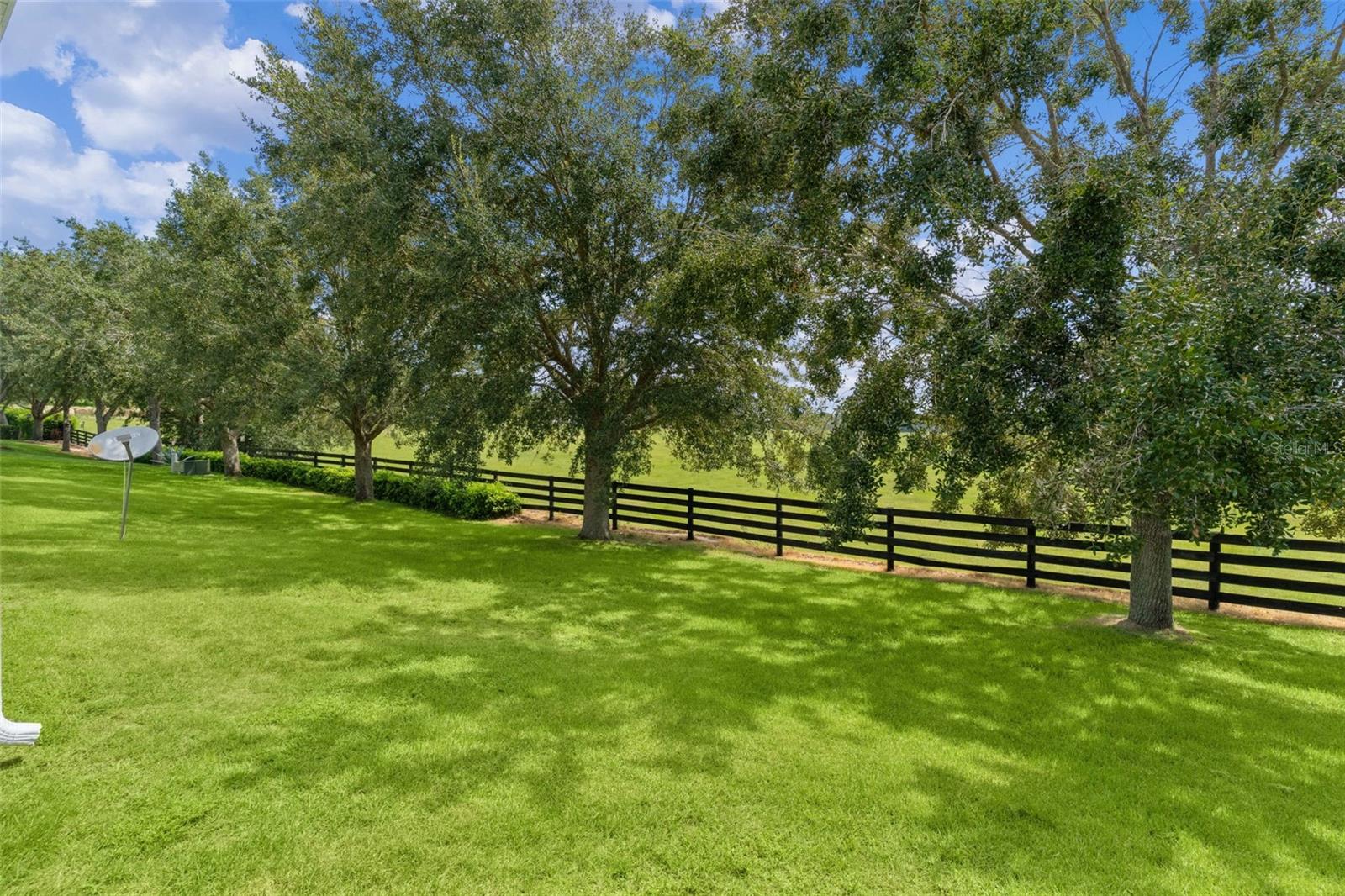 371 Arbella, The Villages, FL 32162