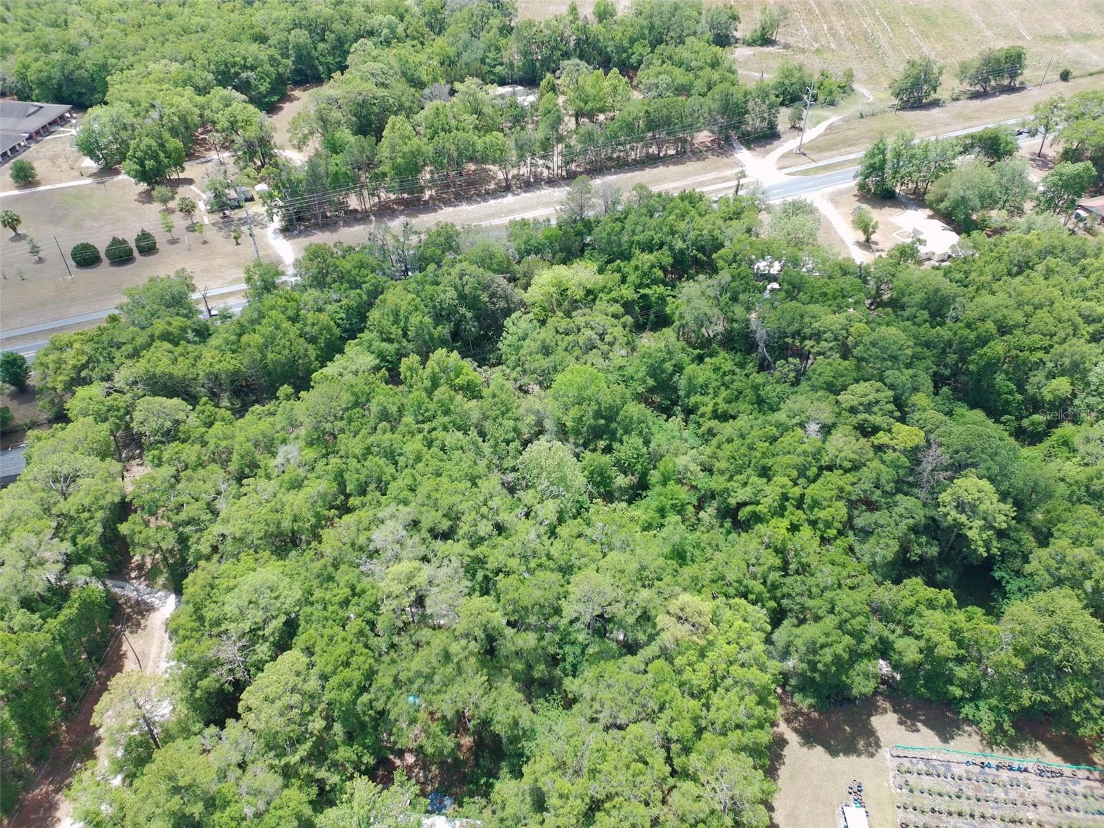 9820 Archer, Gainesville, FL 32608