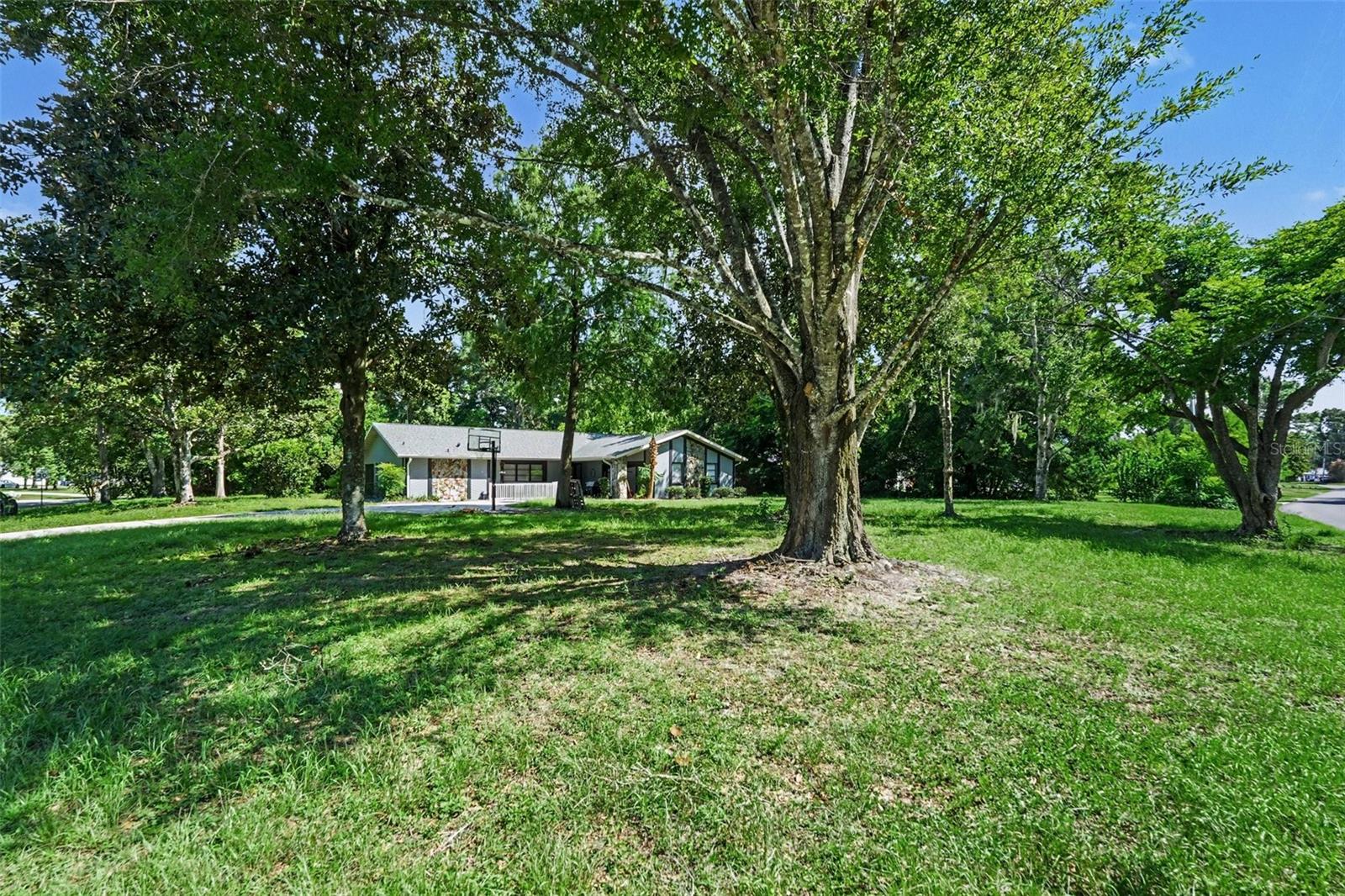 117 Byrsonima, Homosassa, FL 34446