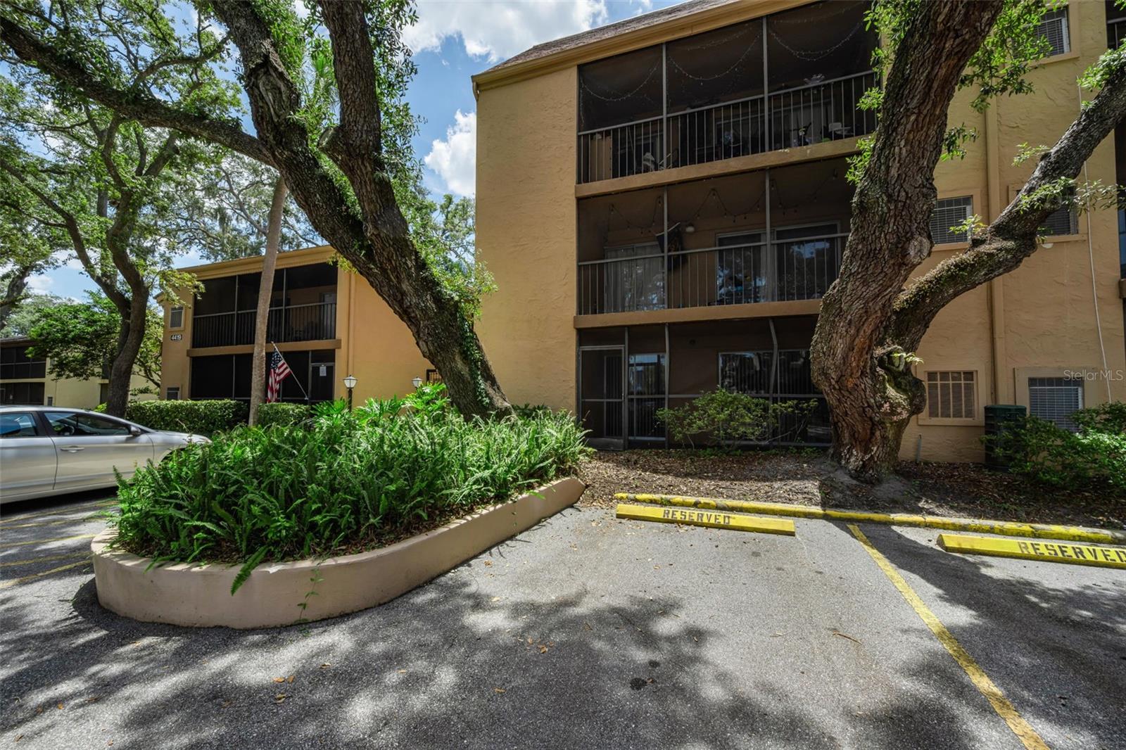4411 Shady Terrace Unit 115, Tampa, FL 33613