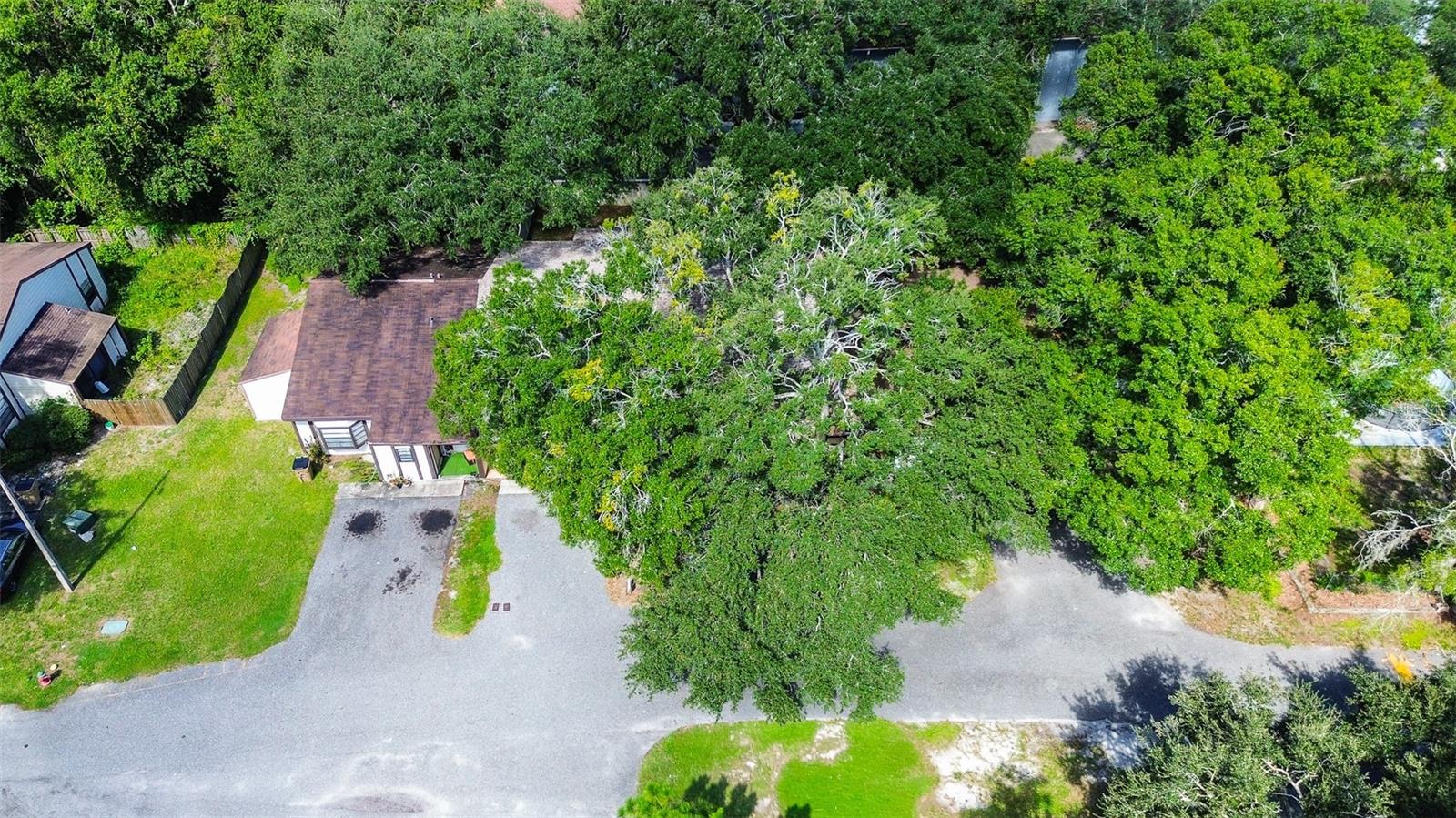 10306 Councils, Temple Terrace, FL 33617