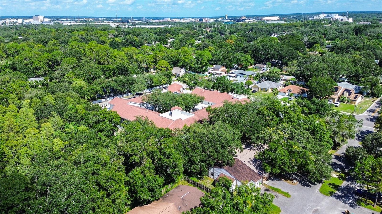 10306 Councils, Temple Terrace, FL 33617
