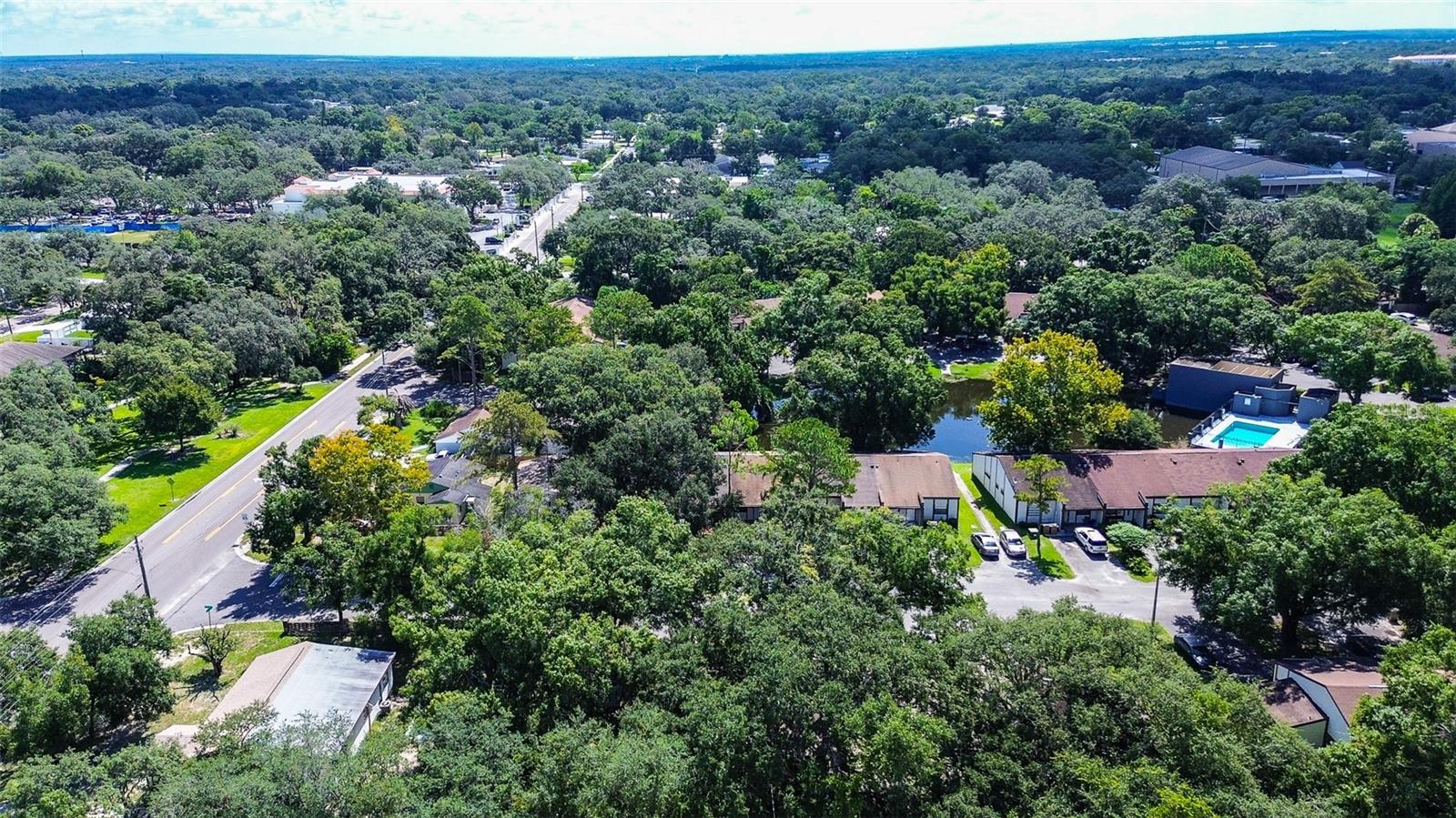 10306 Councils, Temple Terrace, FL 33617