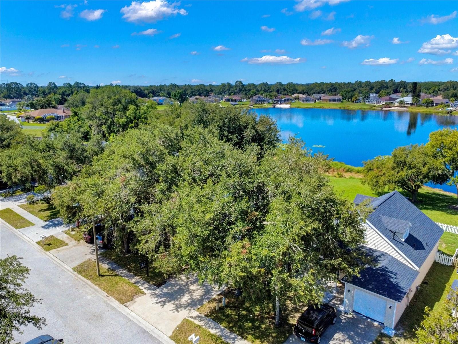 22817 Saint Thomas, Lutz, FL 33549