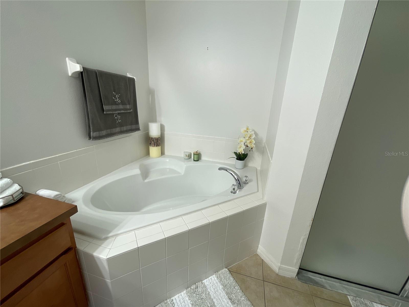 664 Hatchwood, Haines City, FL 33844