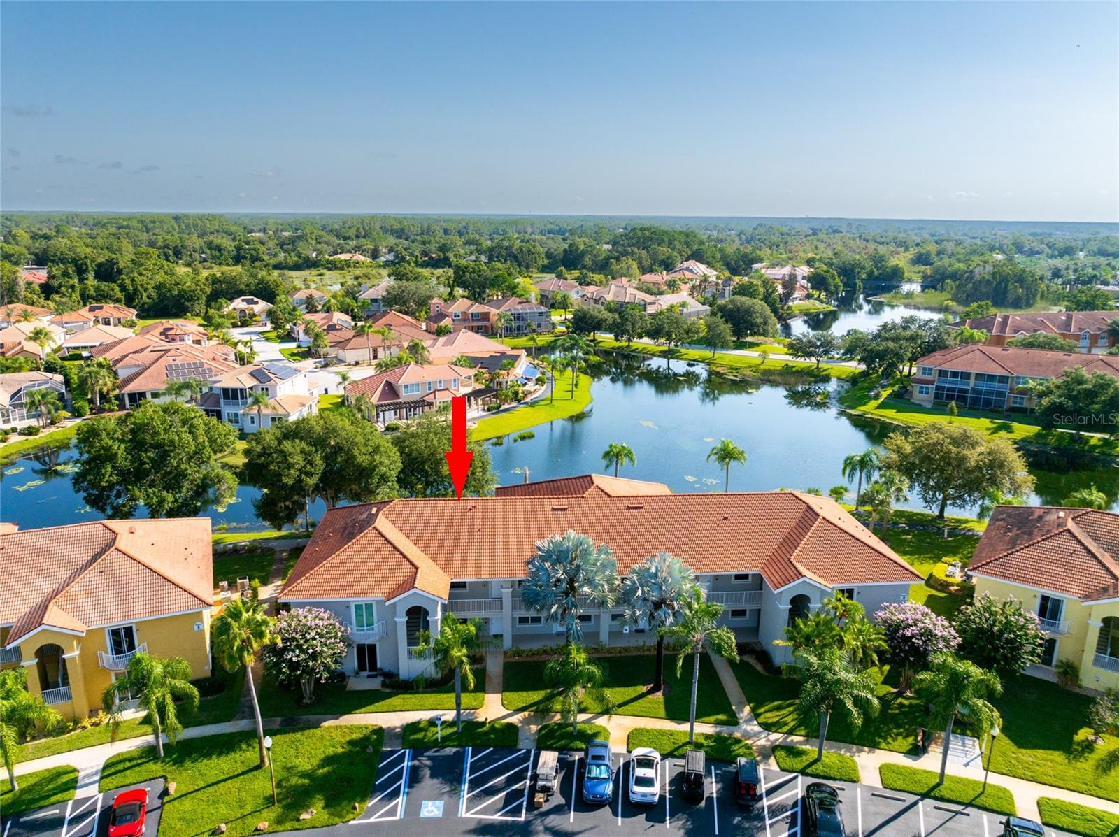 6808 Dali Unit 105, Land O Lakes, FL 34637