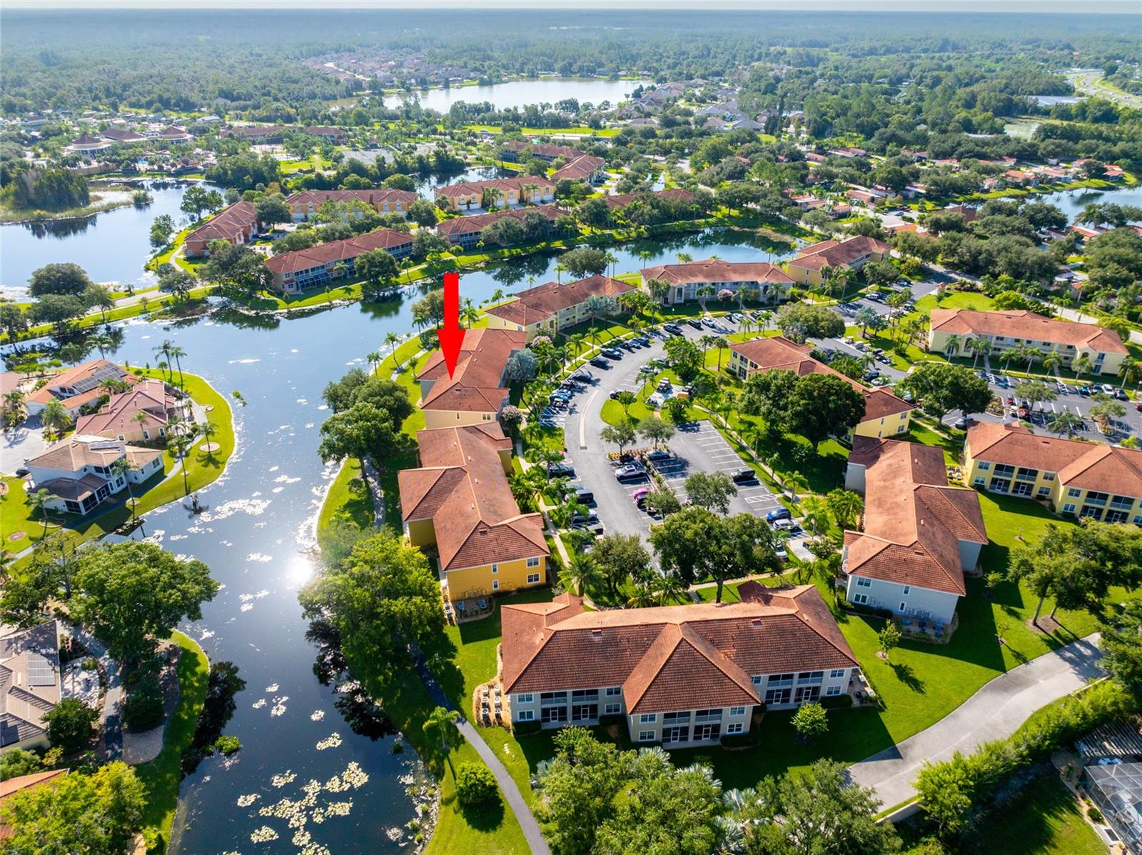6808 Dali Unit 105, Land O Lakes, FL 34637