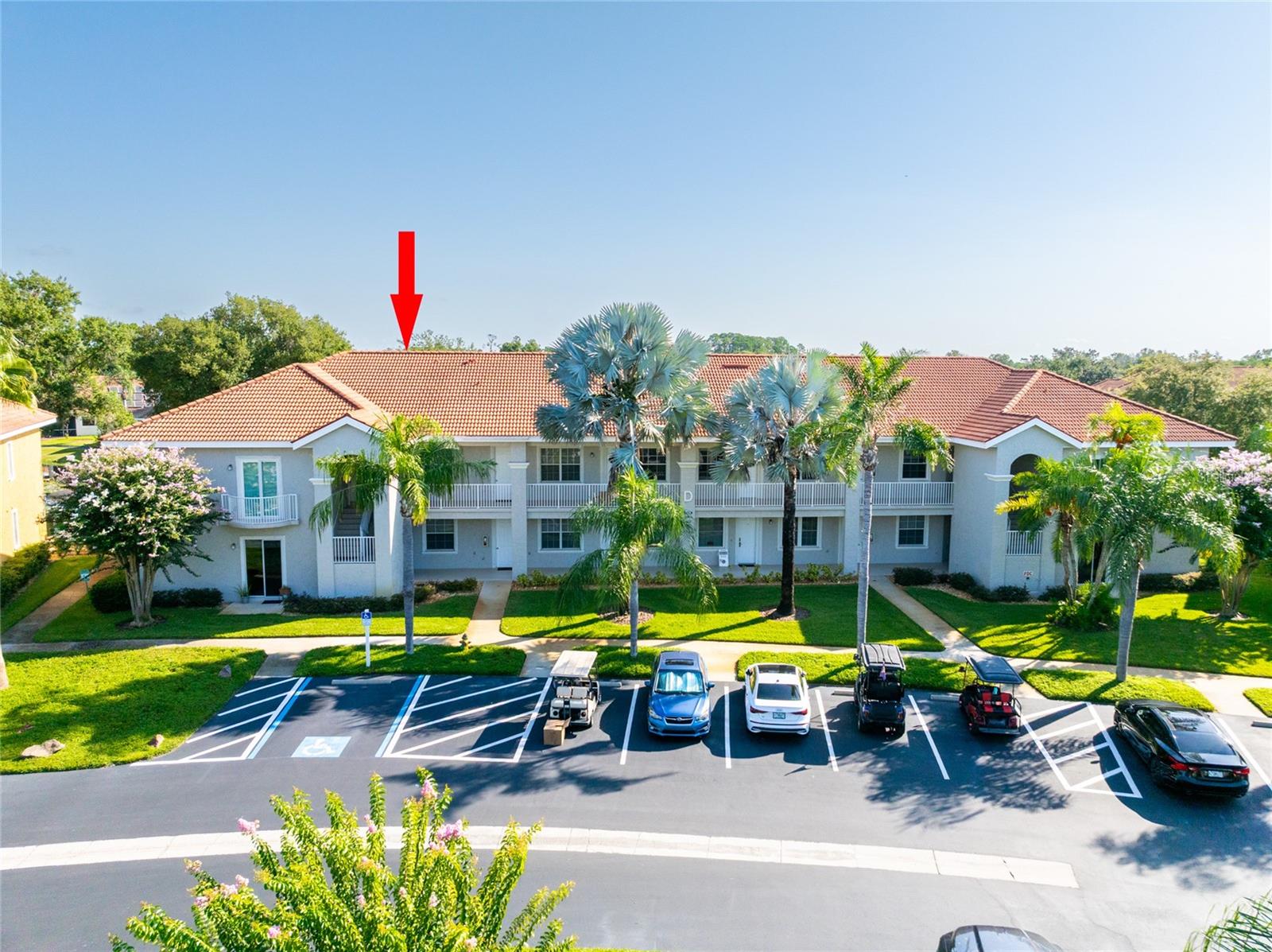 6808 Dali Unit 105, Land O Lakes, FL 34637