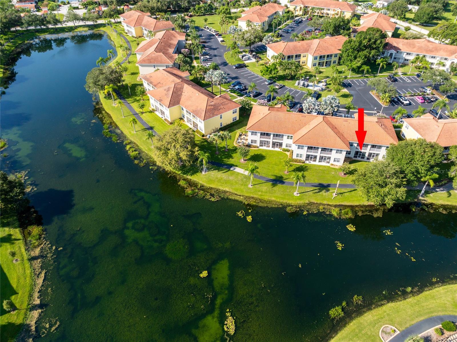 6808 Dali Unit 105, Land O Lakes, FL 34637