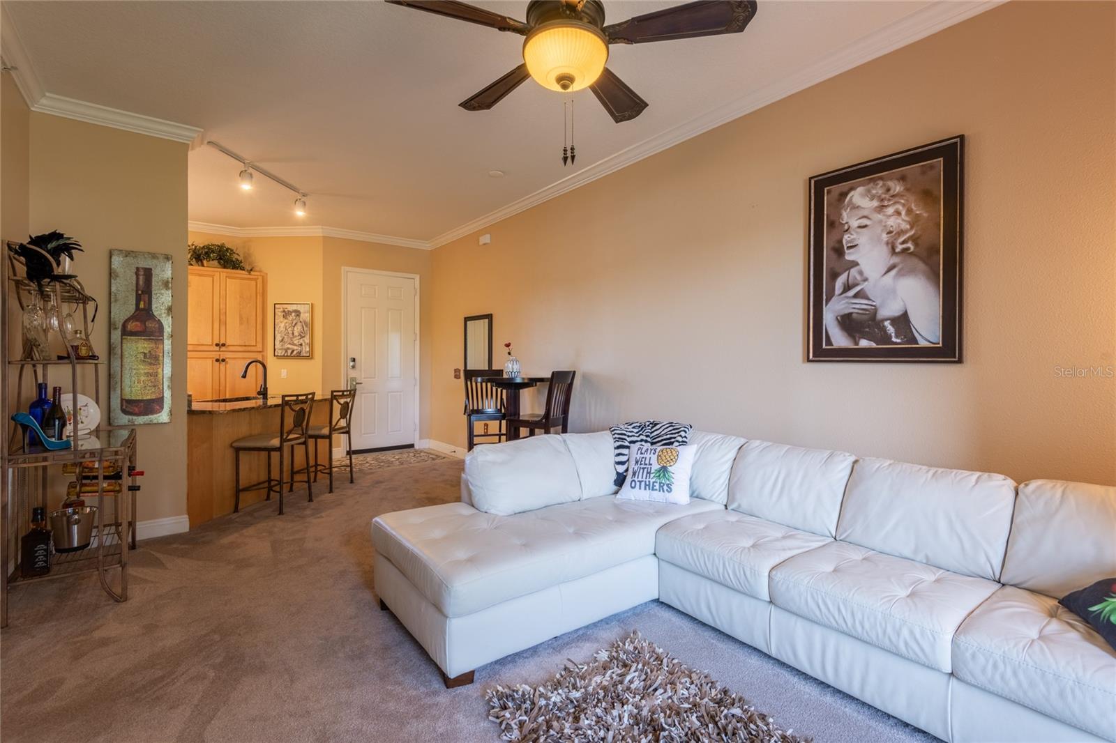 6808 Dali Unit 105, Land O Lakes, FL 34637