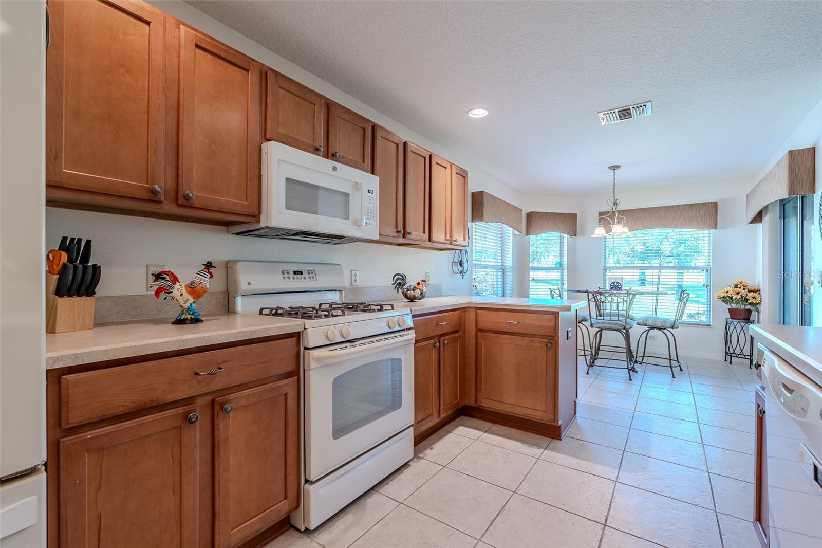 15702 11th Terrace, Ocala, FL 34473