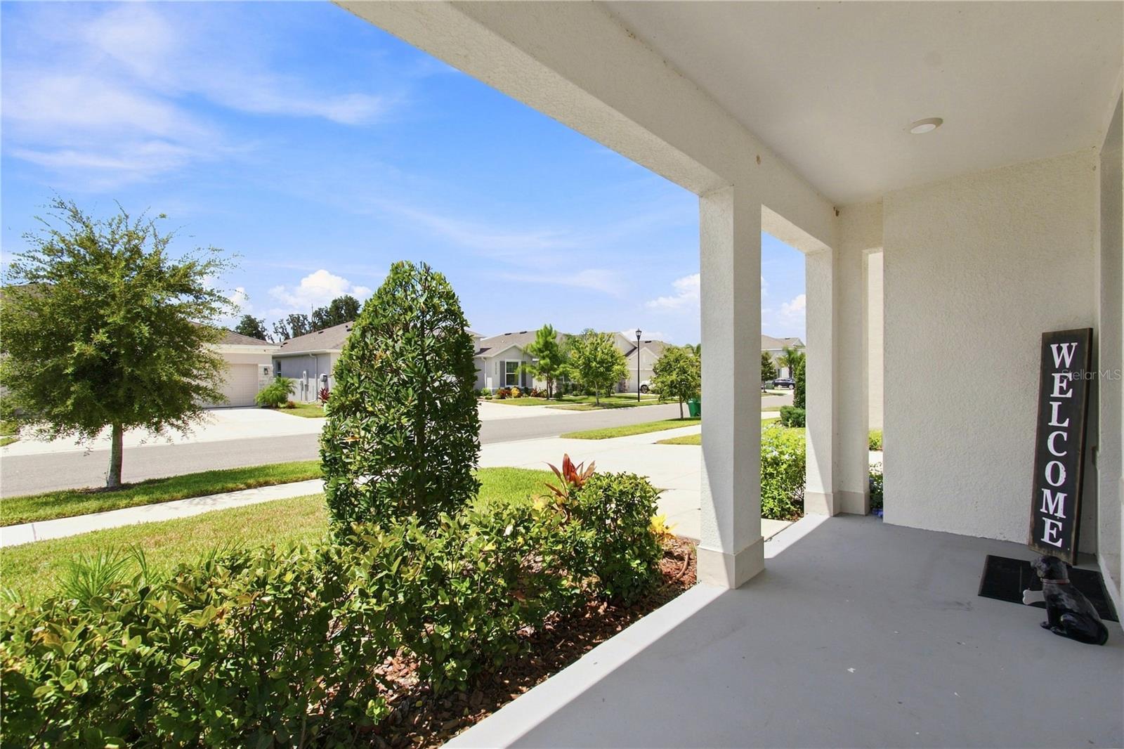 33635 Hamilton Hill, Wesley Chapel, FL 33545